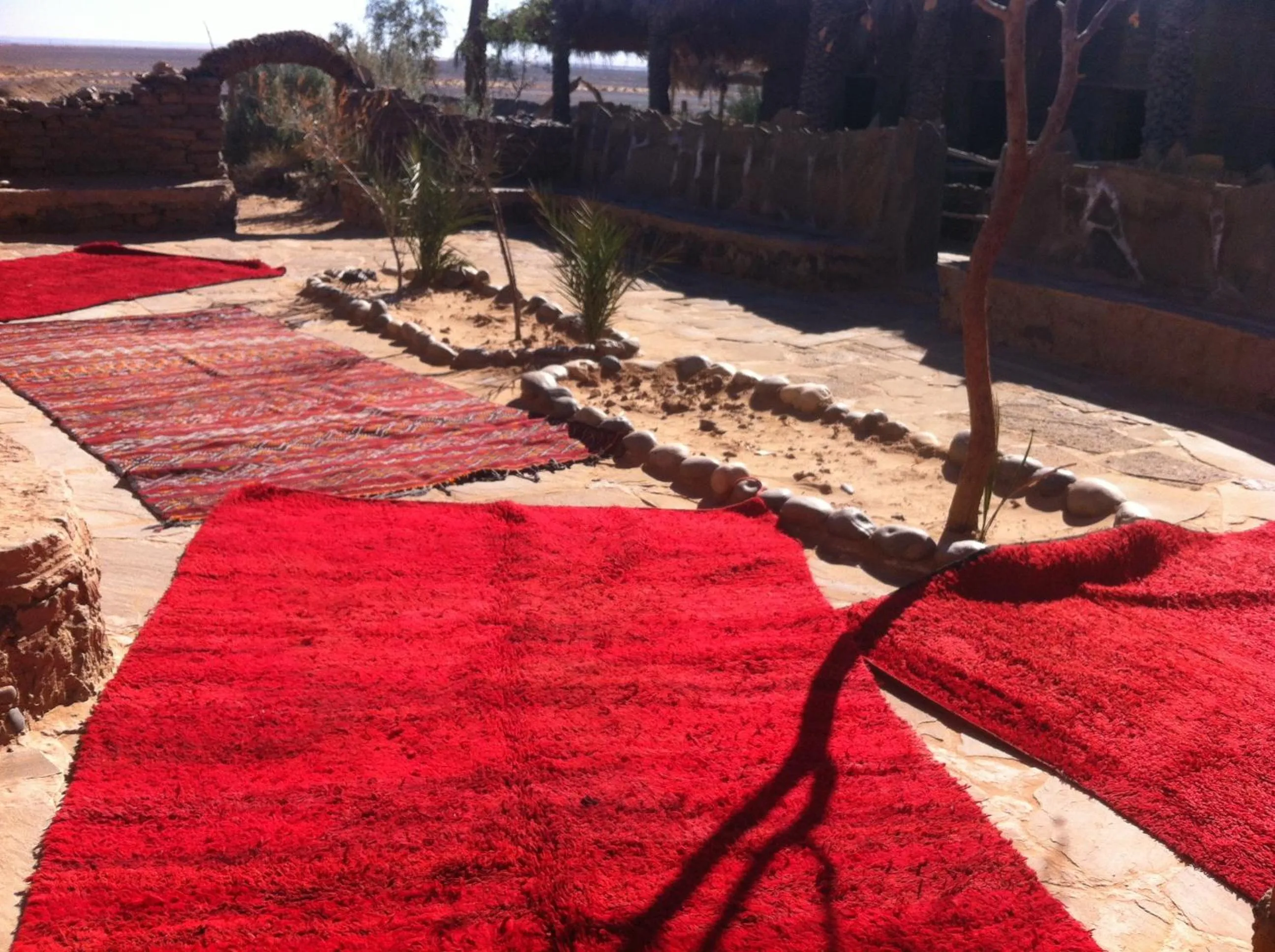 Garden in Maison Boutchrafine