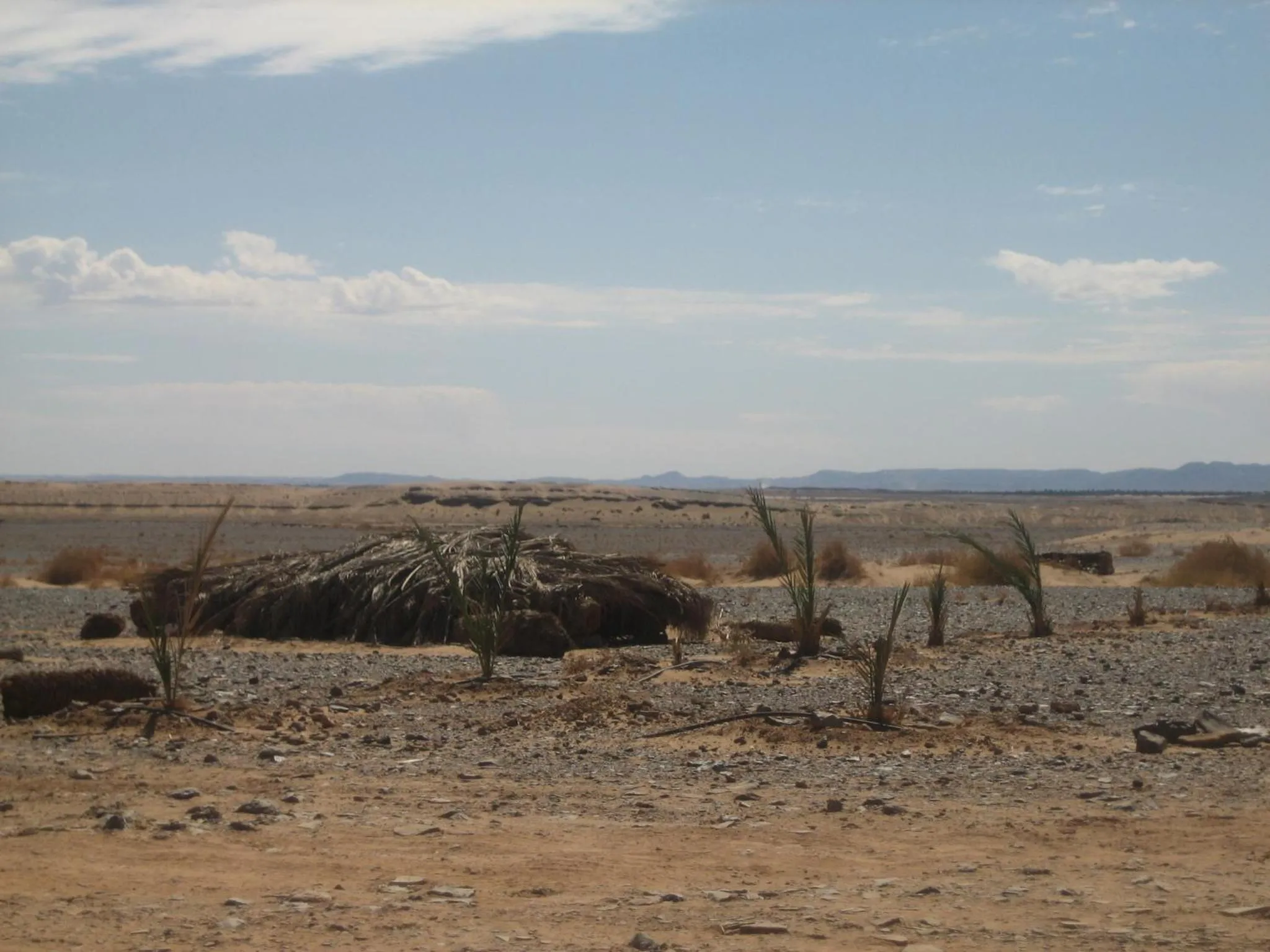 Garden view in Maison Boutchrafine