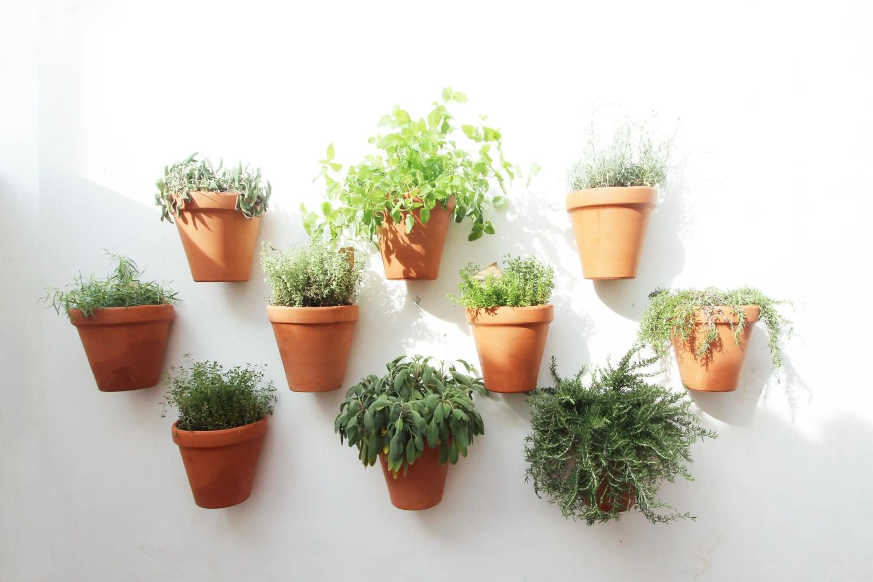 Patio in Lavradores Boutique Guesthouse