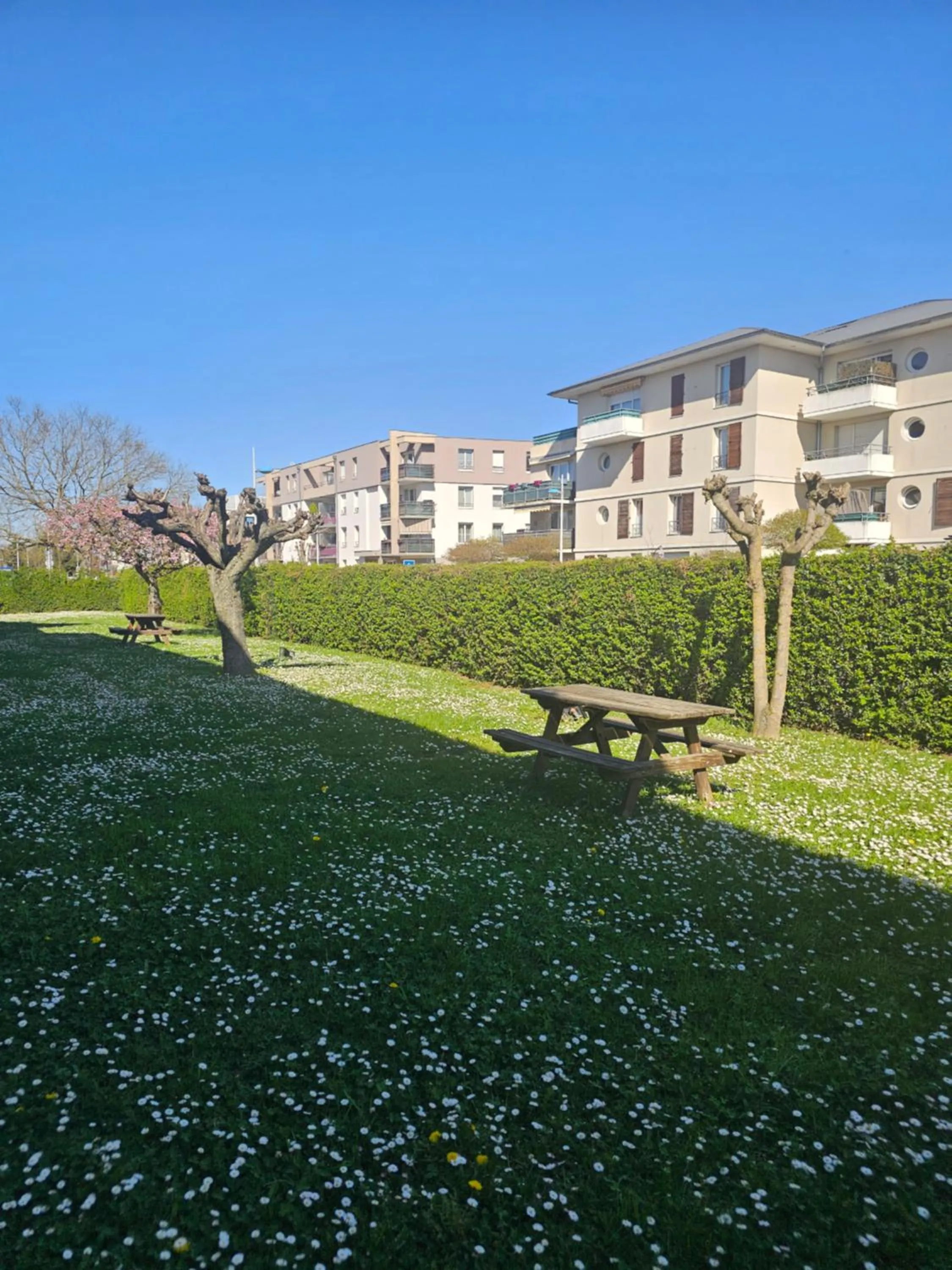 Garden in Premiere Classe Strasbourg Ouest