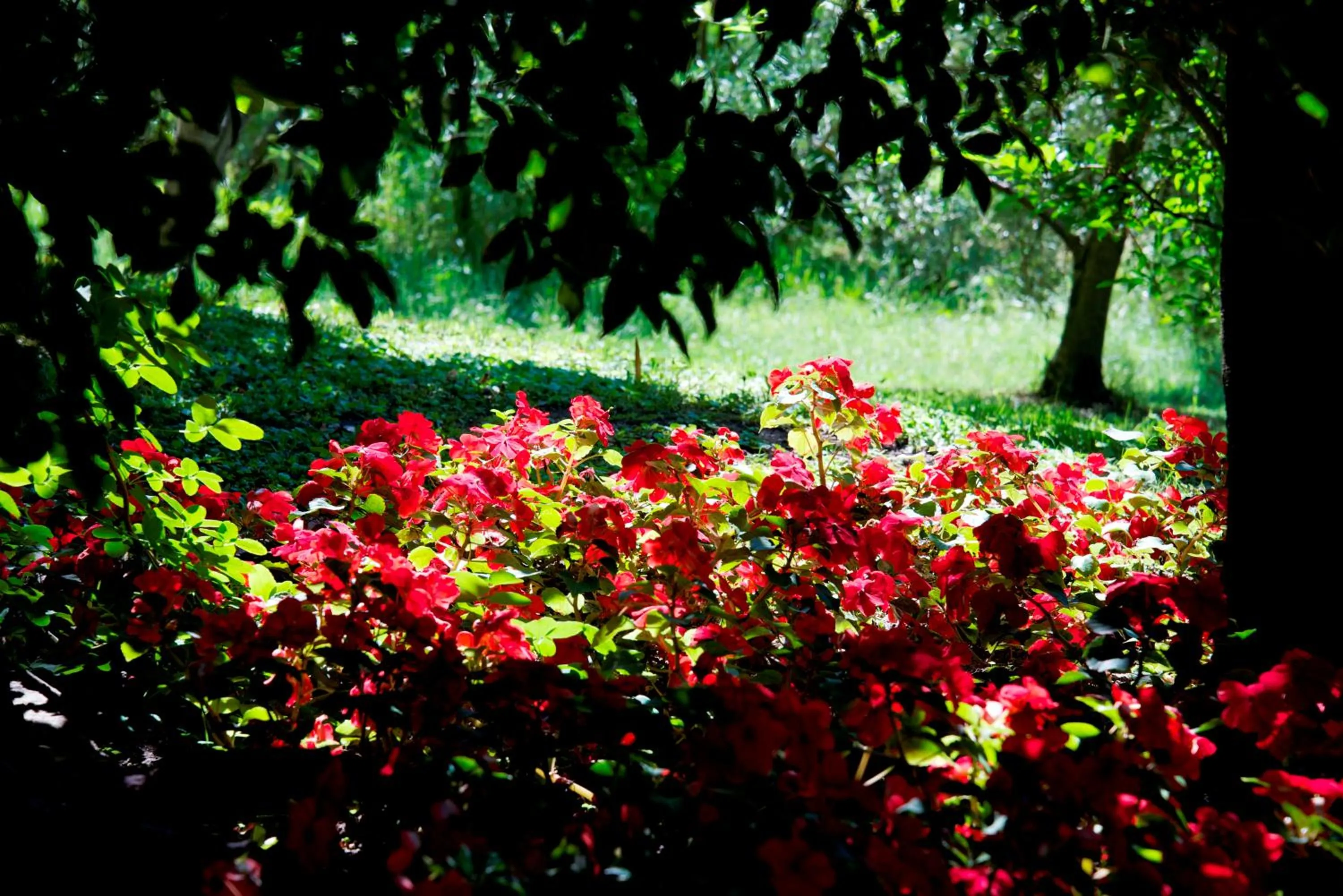 Summer in Hotel Tannerhof