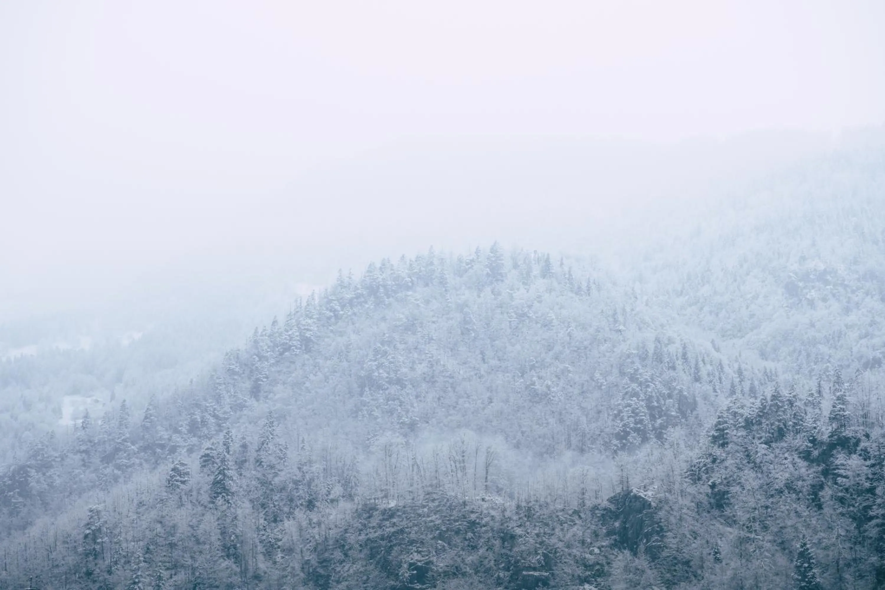Natural landscape in Hôtel Maison Doron