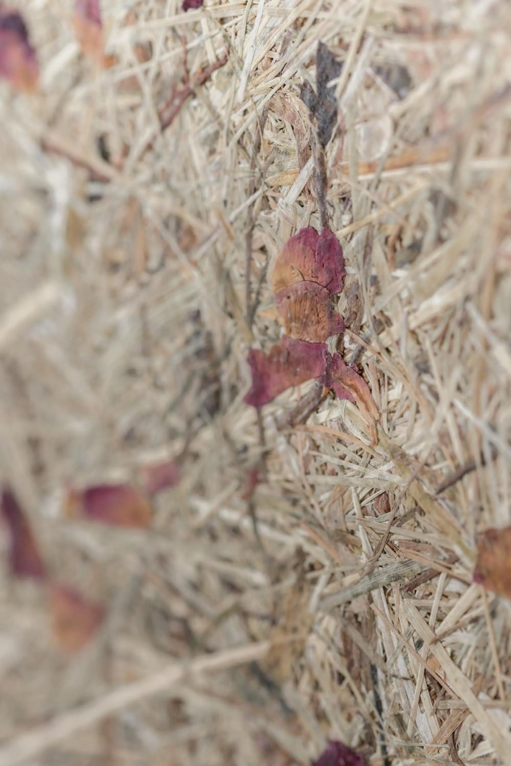 Decorative detail in Hôtel Maison Doron