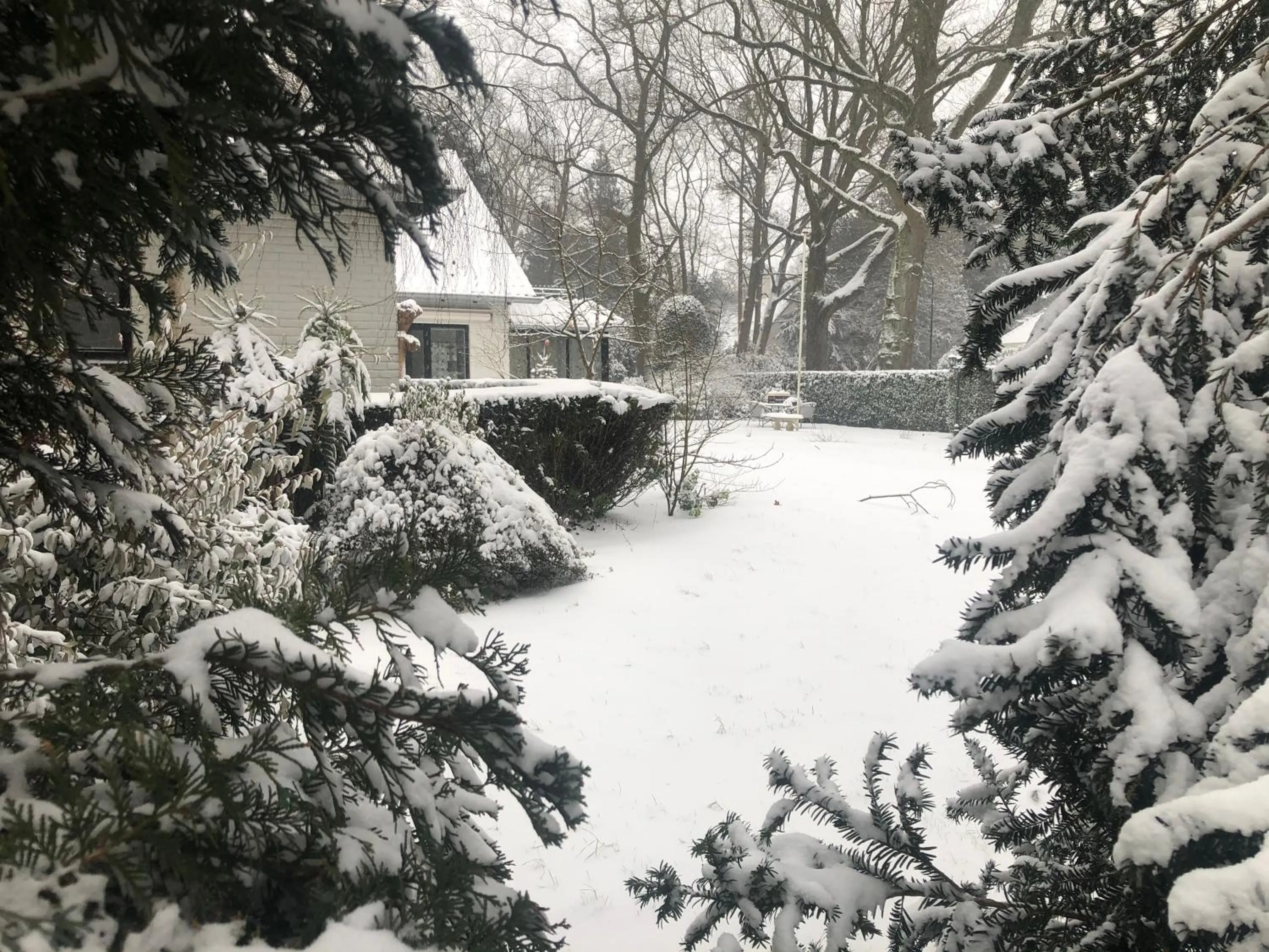 Modern Palace Emma Staete