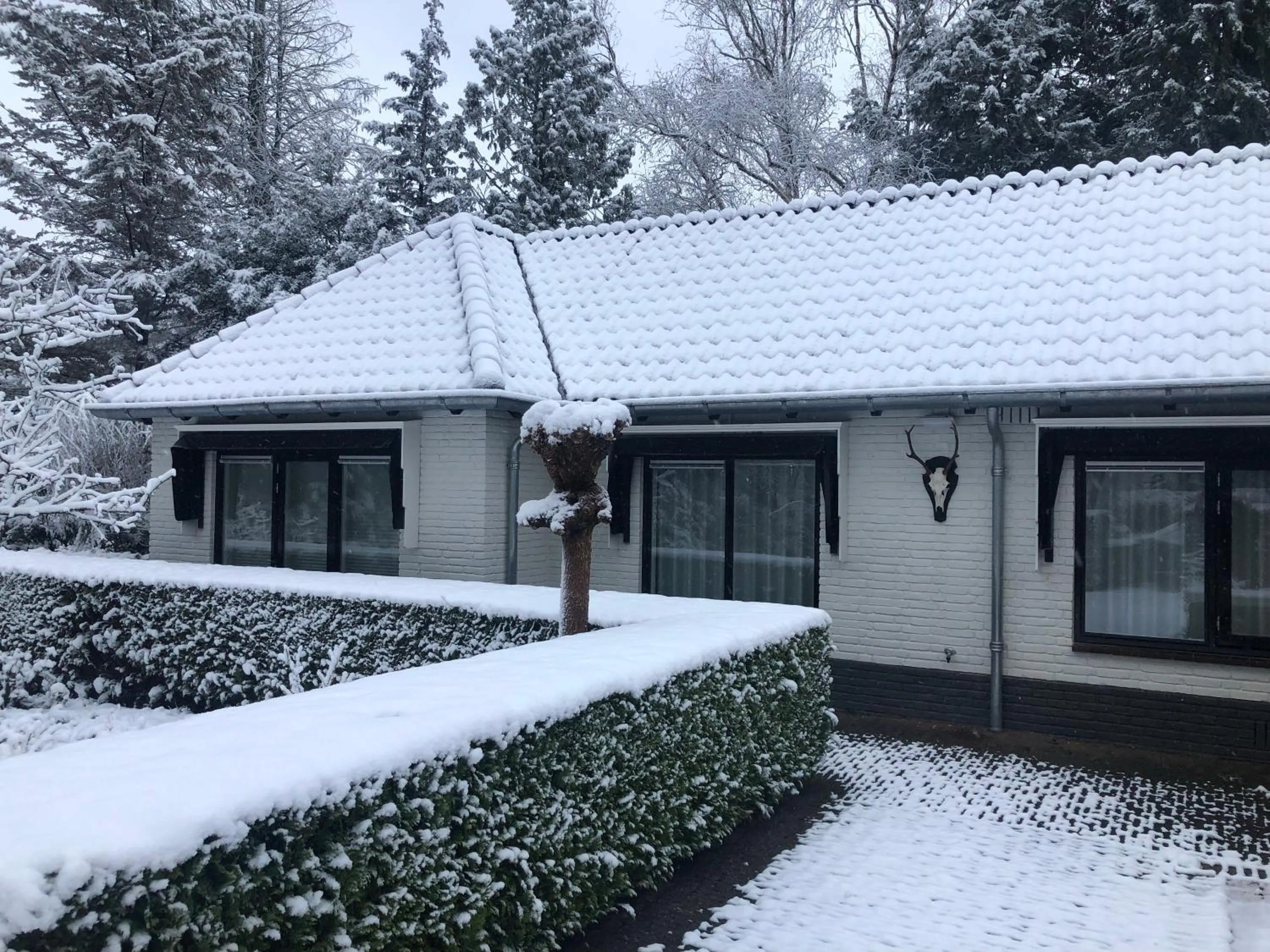 Winter in Modern Palace Emma Staete