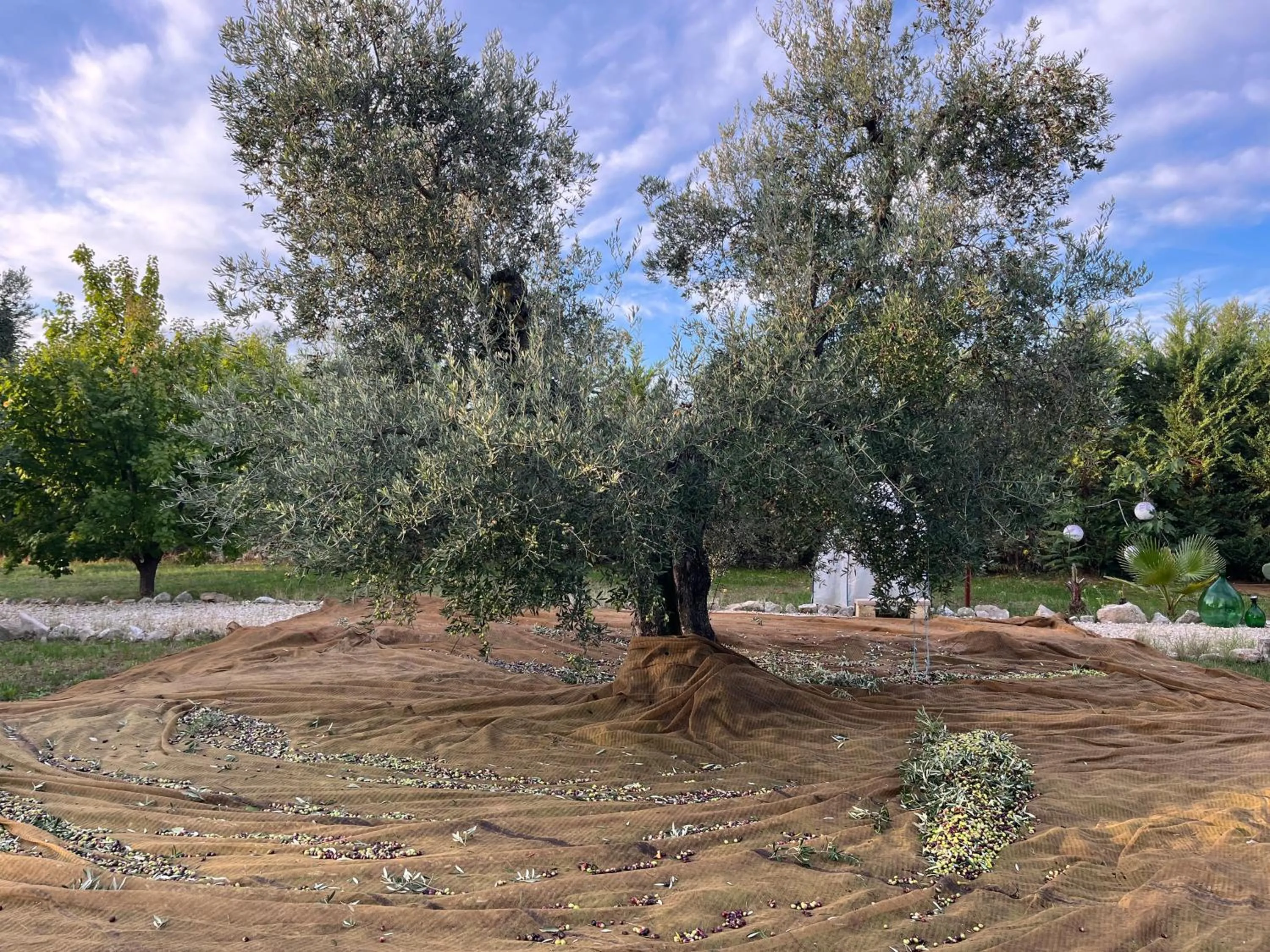 B&B Villa Mediterranea with parking space