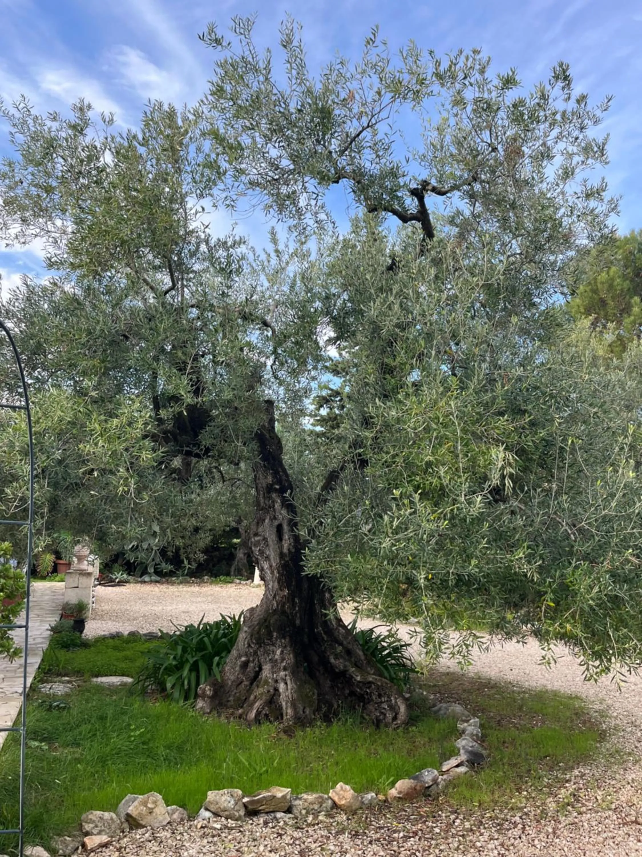 B&B Villa Mediterranea with parking space