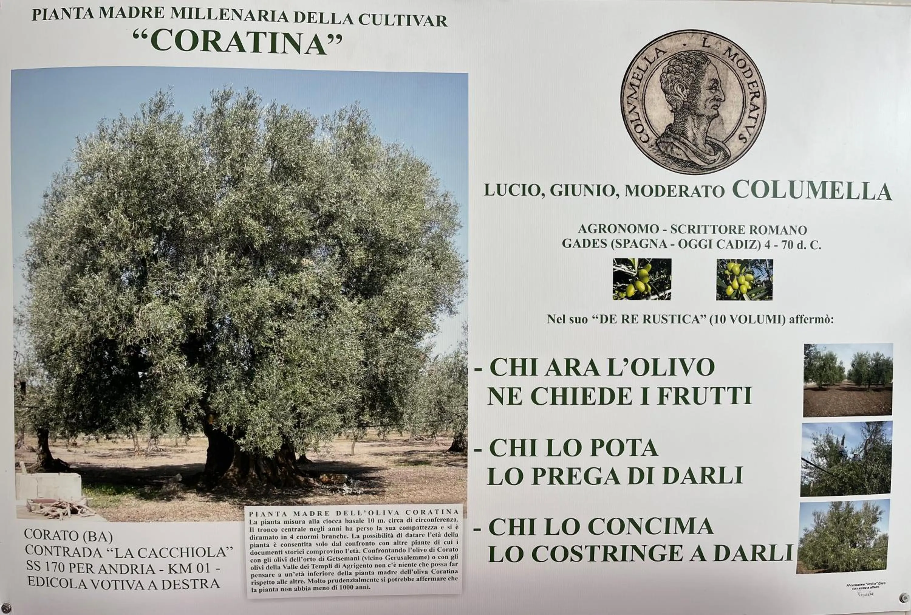 B&B Villa Mediterranea with parking space