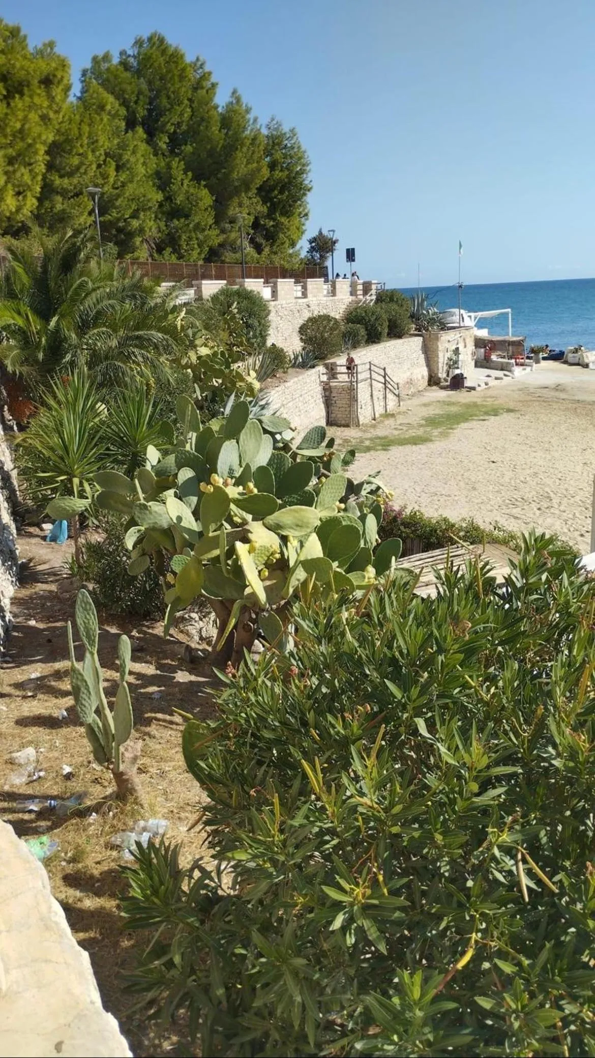 B&B Villa Mediterranea with parking space