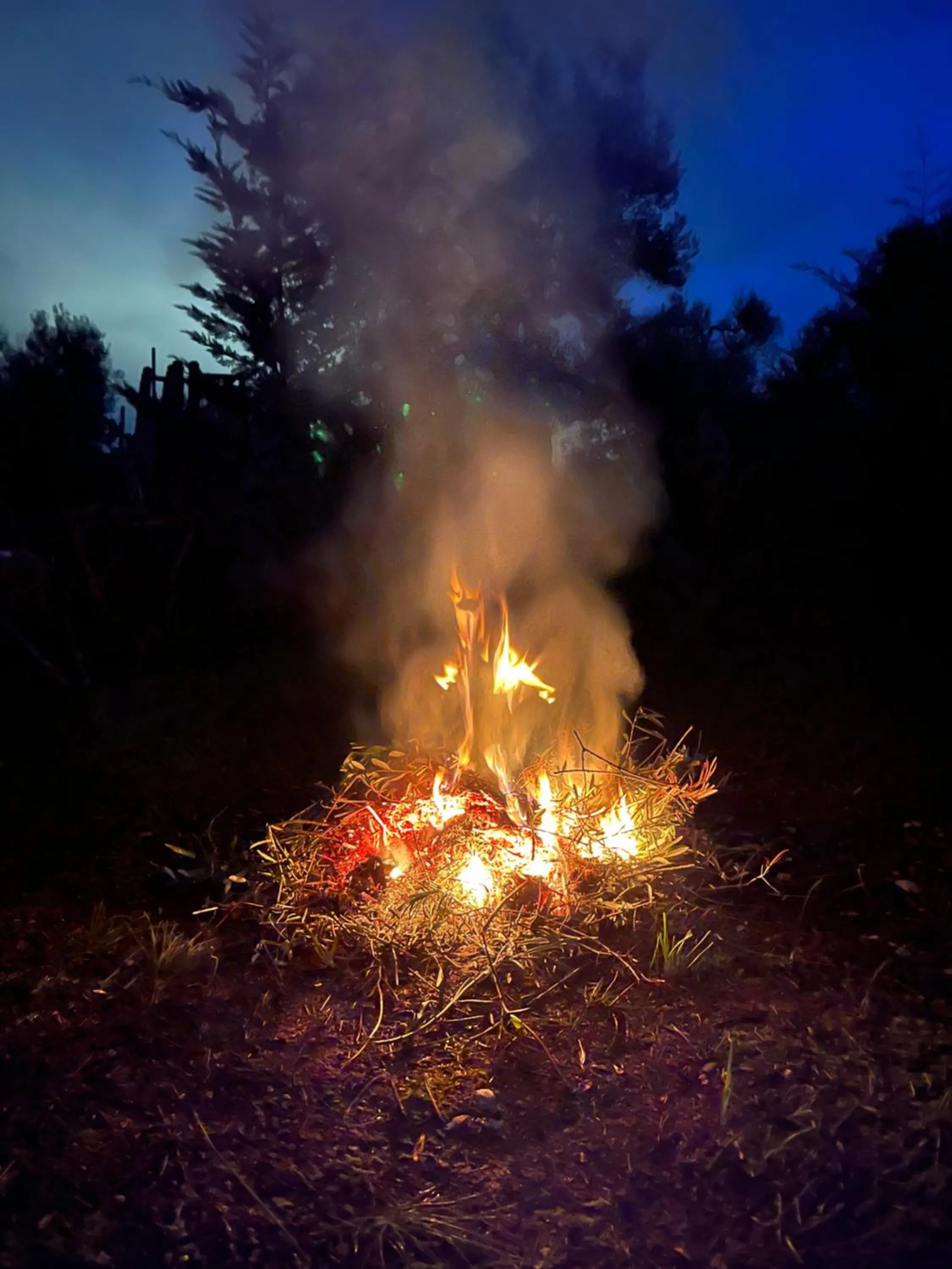 Natural landscape in B&B Villa Mediterranea with parking space