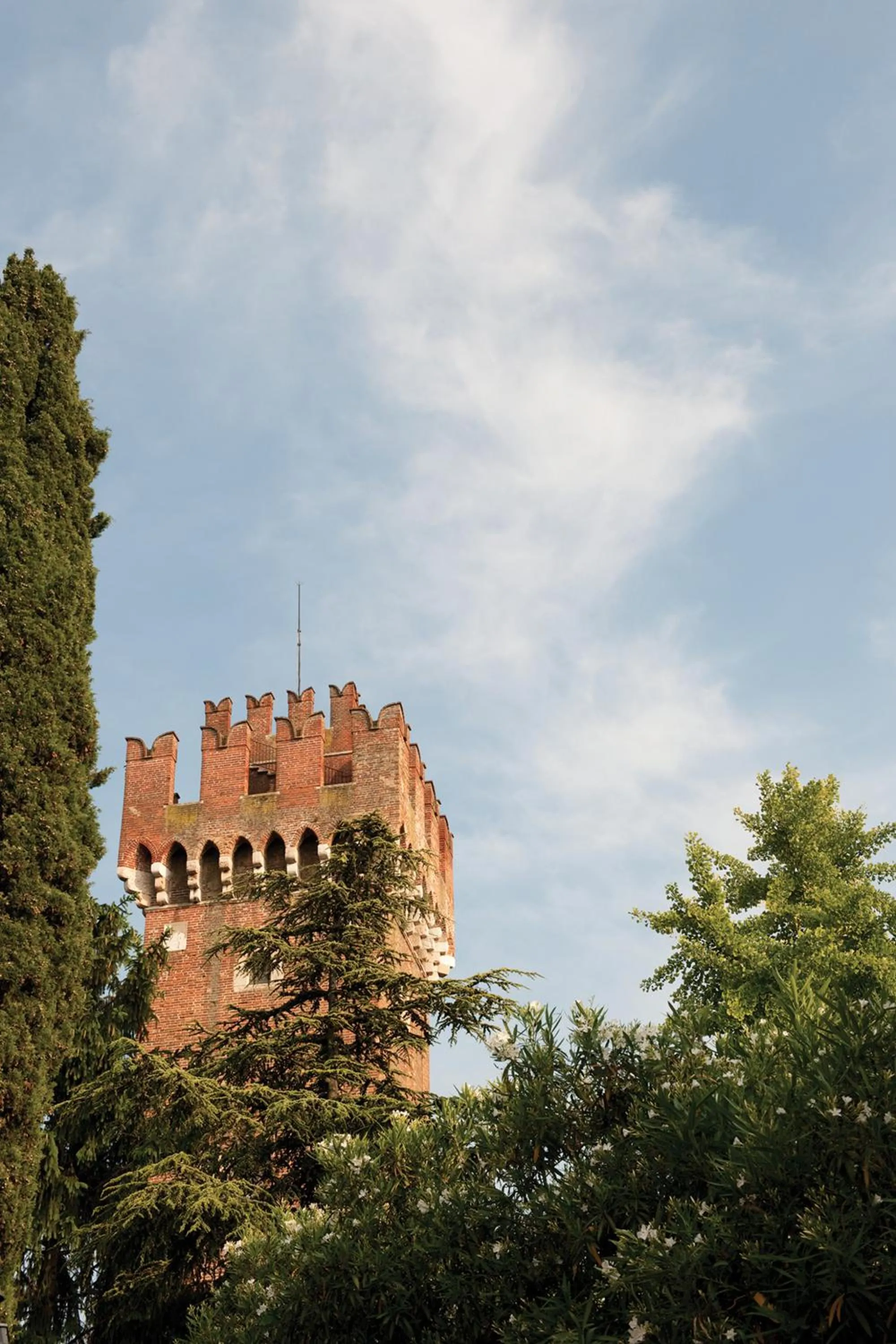 Decorative detail in Cangrande Hotel