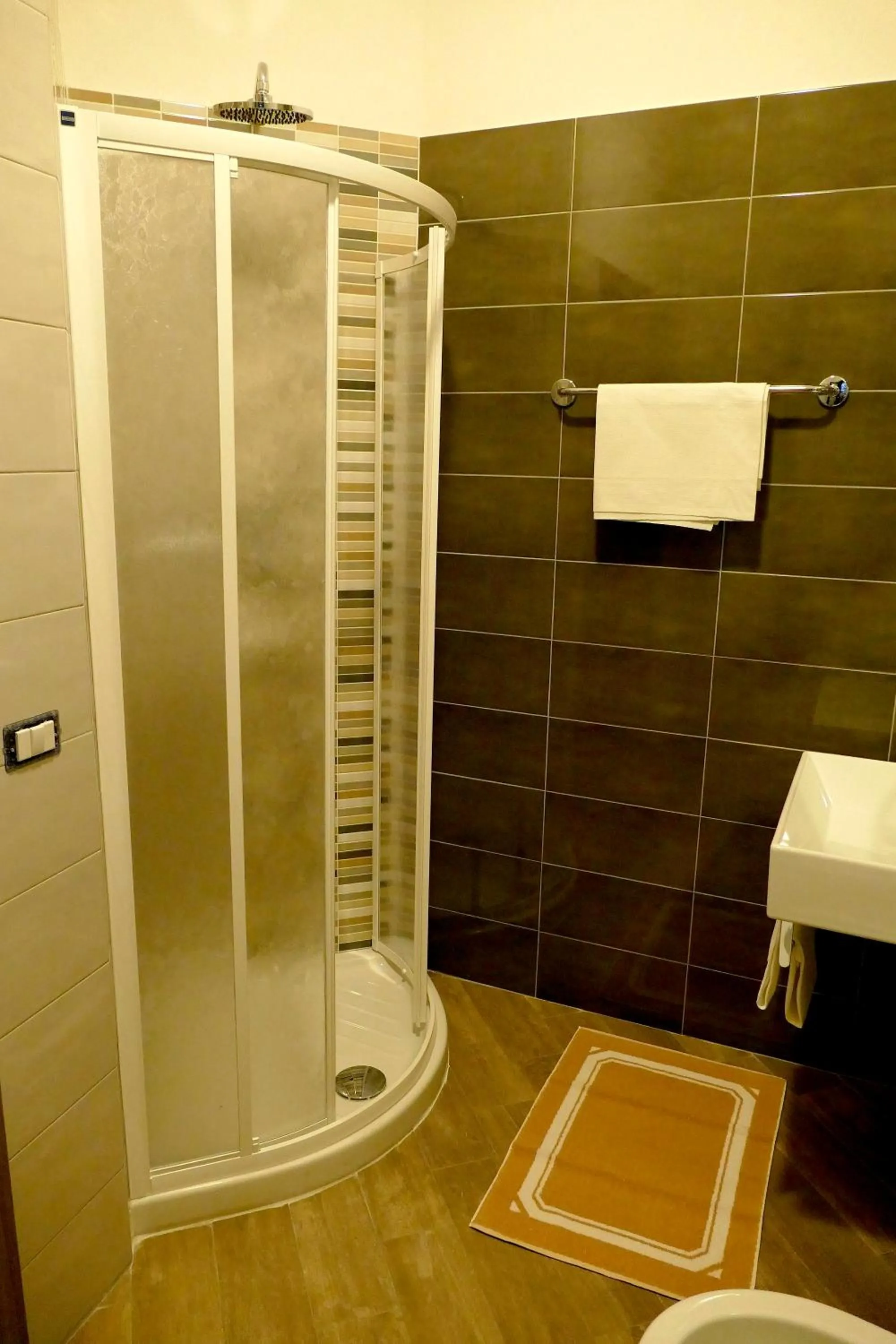 Shower in Hotel Désirée