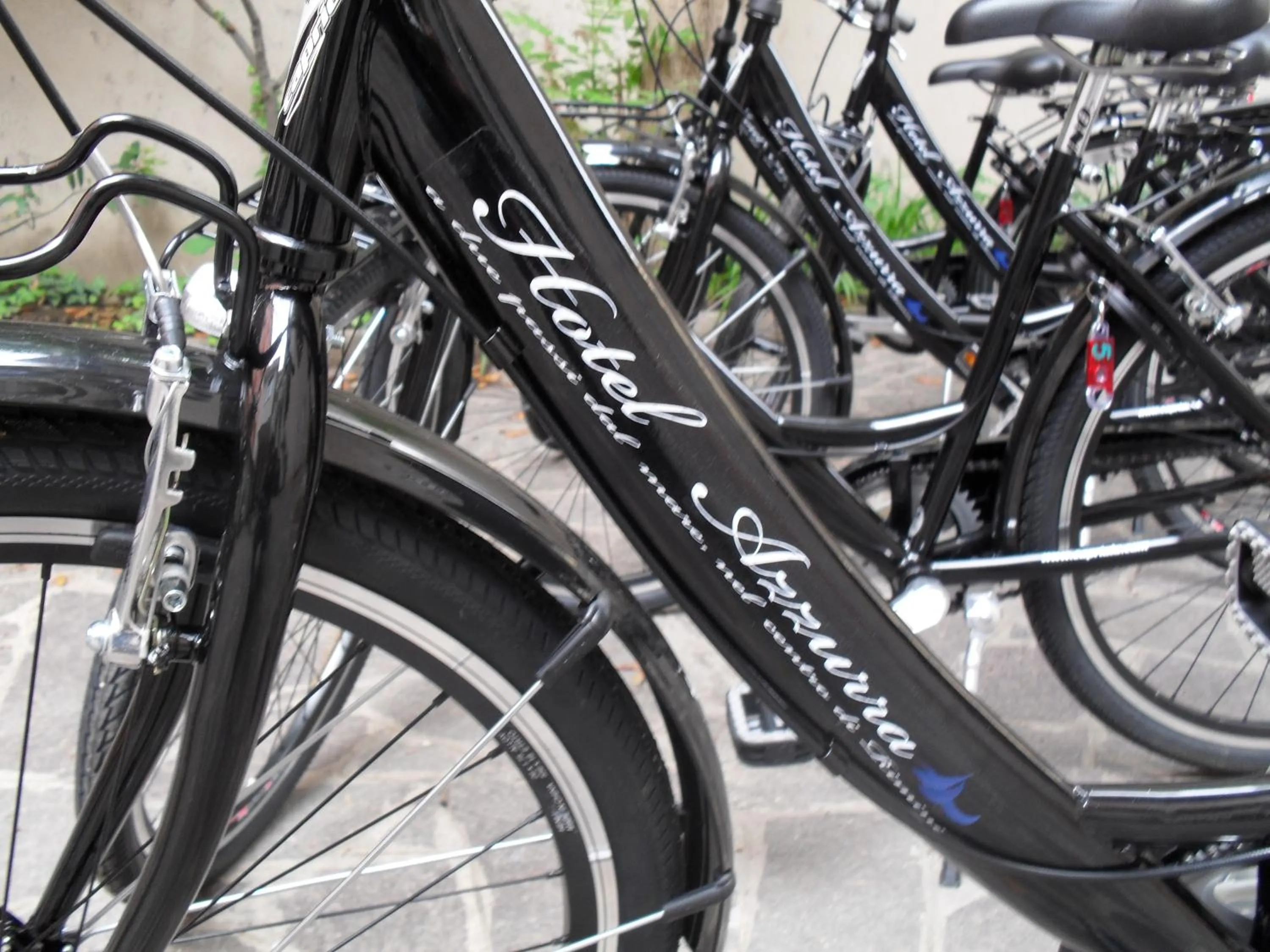 Area and facilities in Hotel Azzurra