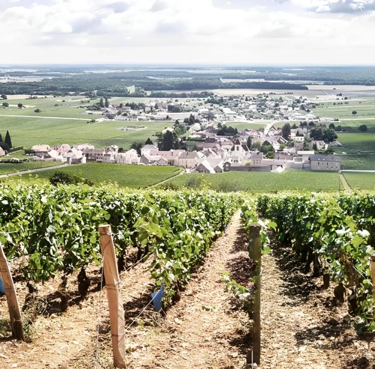 Natural landscape in FASTHOTEL Reims Est - Taissy