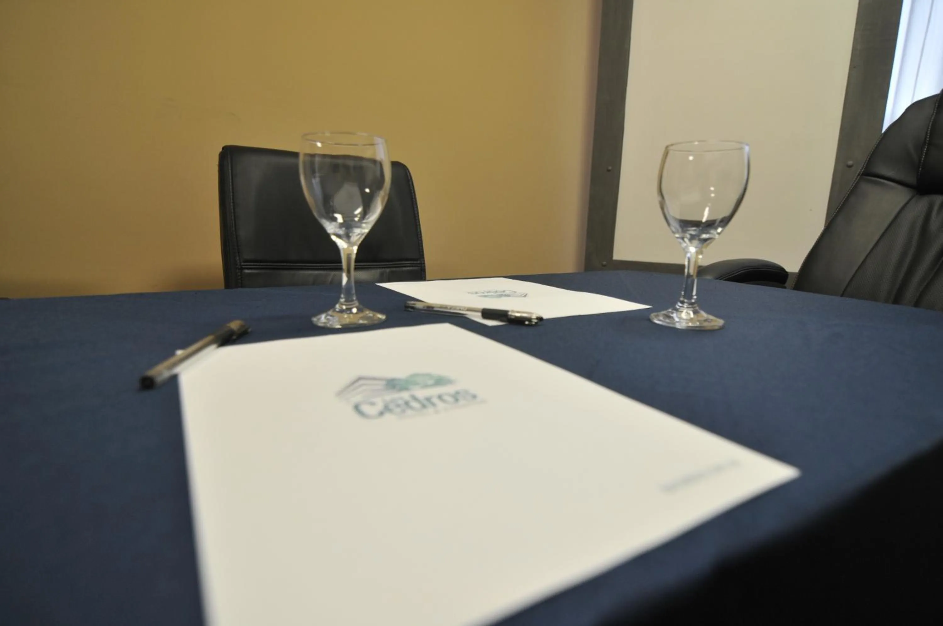 Business facilities in Hotel Los Cedros
