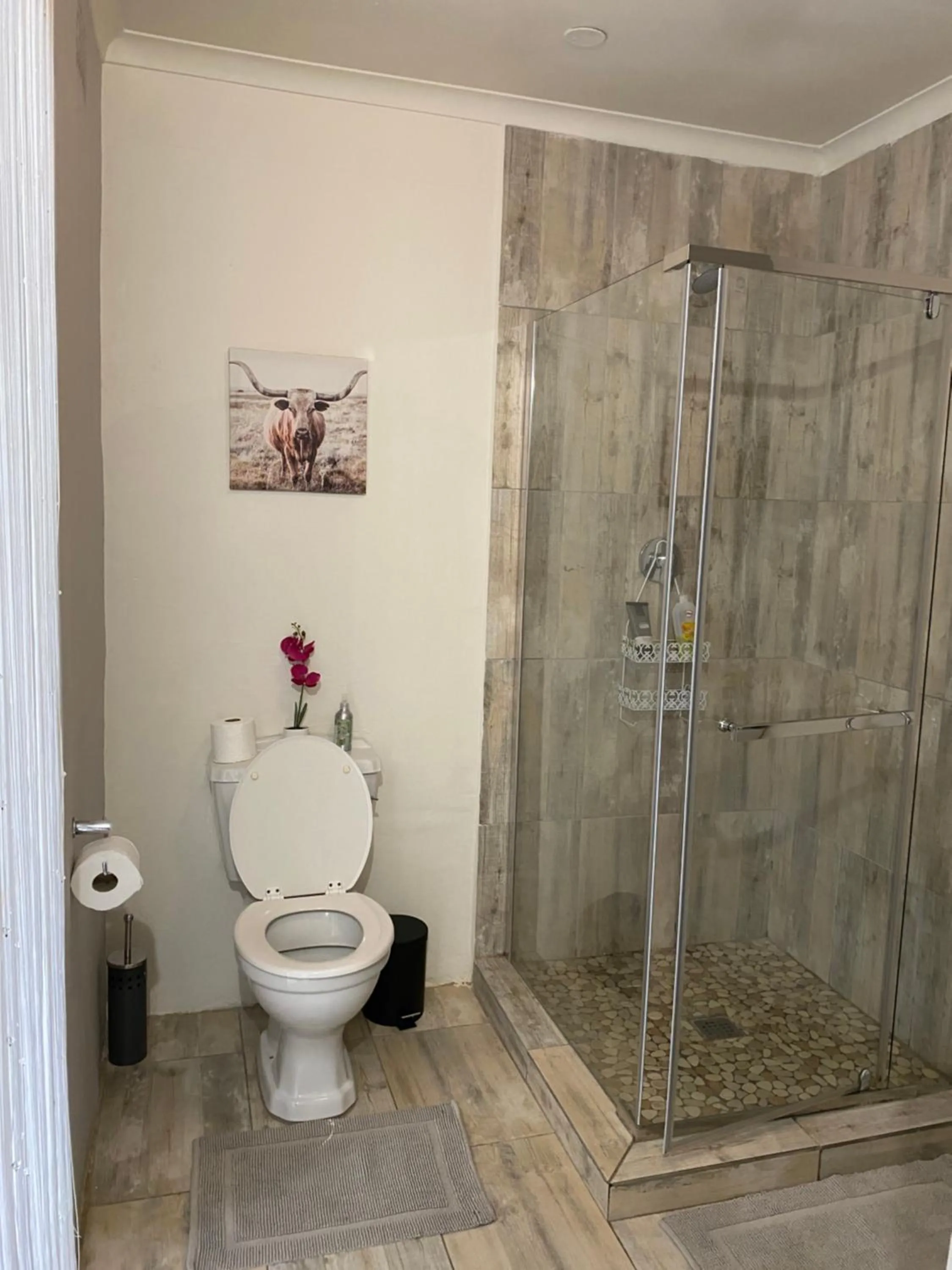 Toilet in AfricaLove Guest Condo