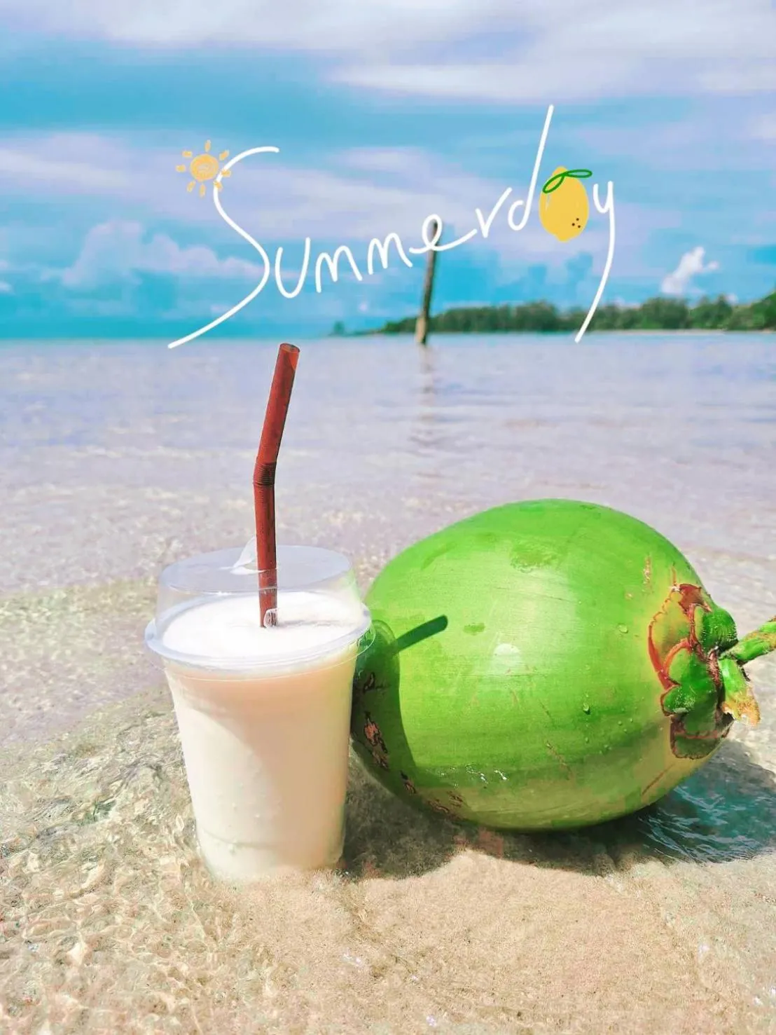 Koh kood Neverland beach resort