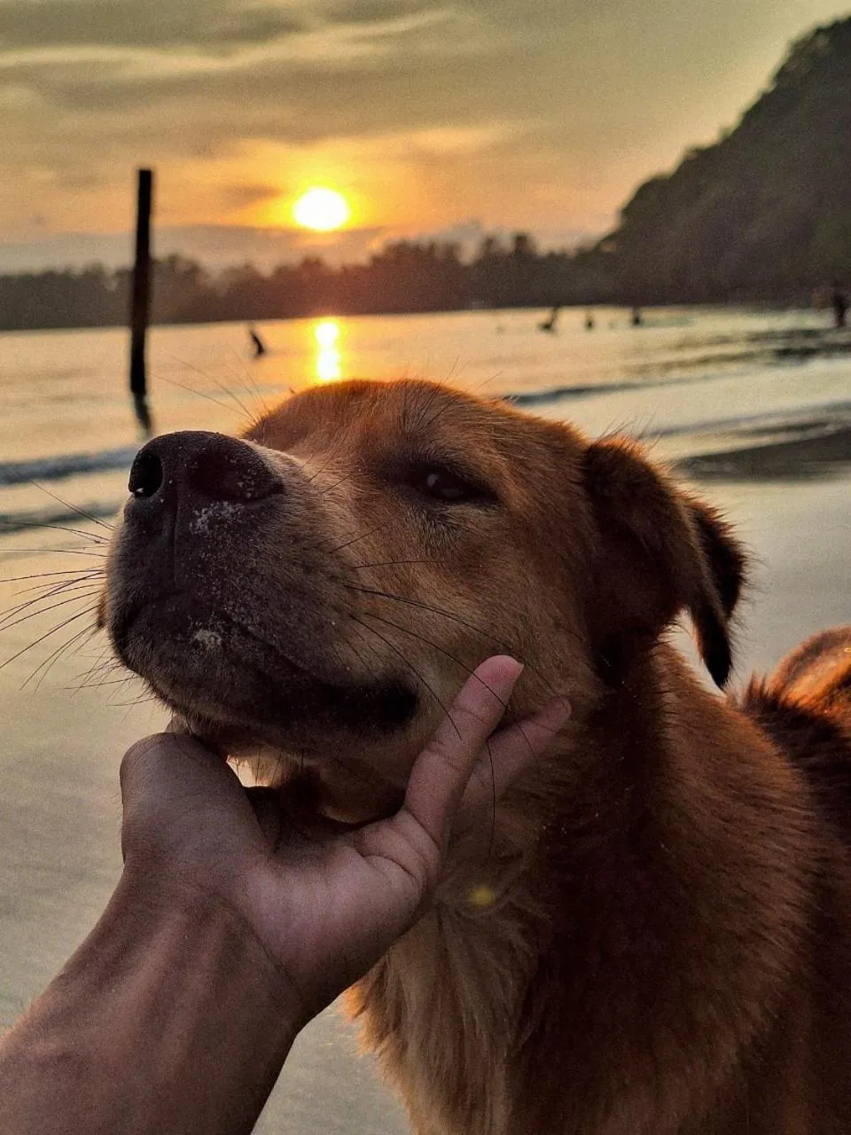 Koh kood Neverland beach resort