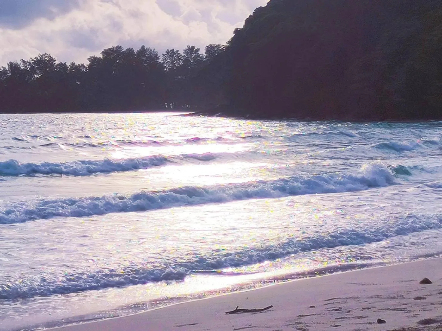 Koh kood Neverland beach resort