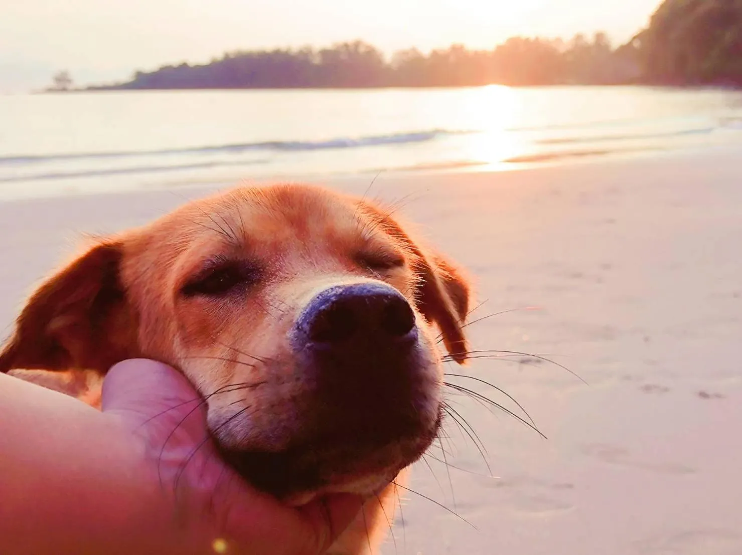 Koh kood Neverland beach resort