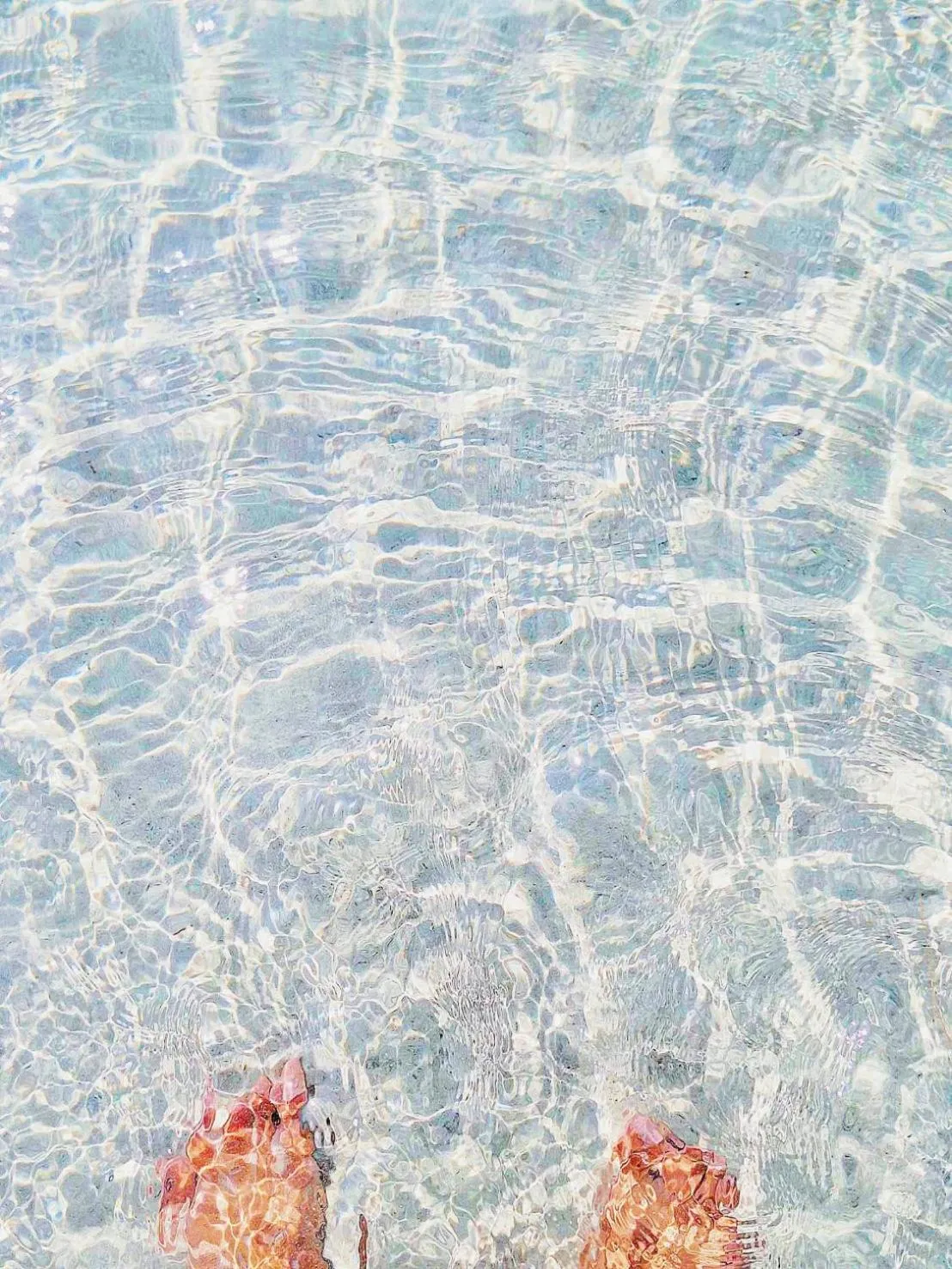 Koh kood Neverland beach resort