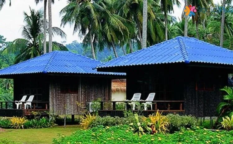 Koh kood Neverland beach resort