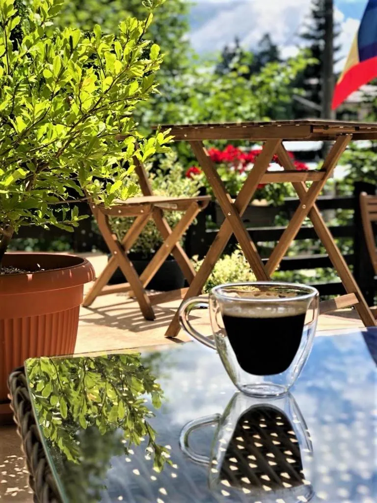 Patio in Casa Varful Cu Dor