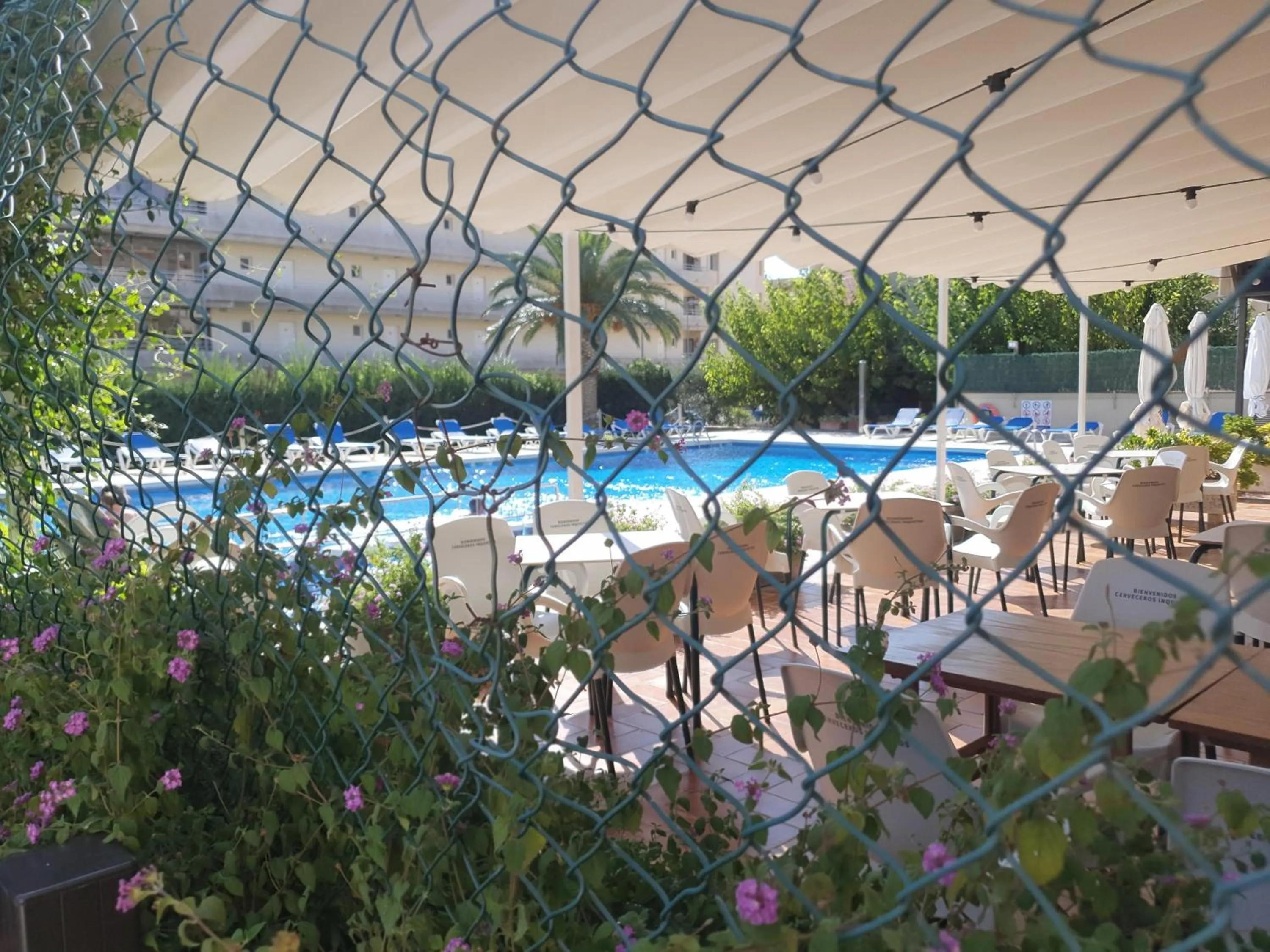 Pool view in Payet Apartments