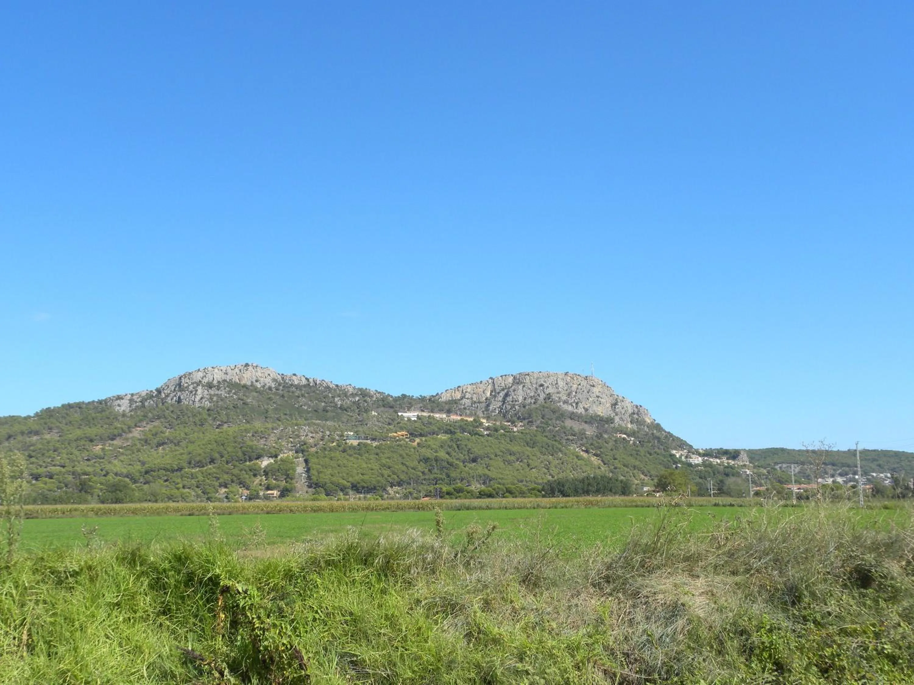 Natural landscape in Payet Apartments