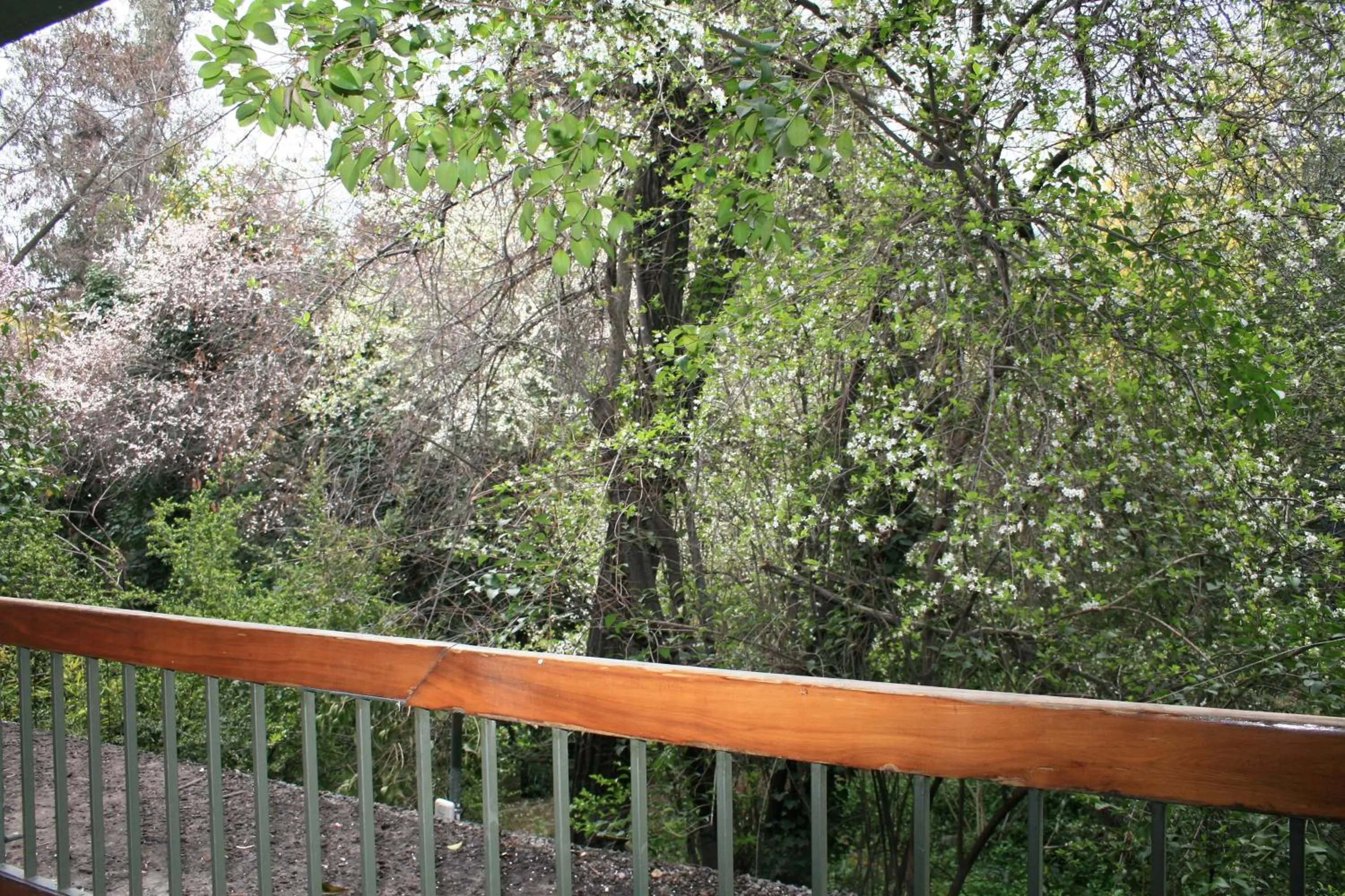 Other in Hotel Acacias de Vitacura