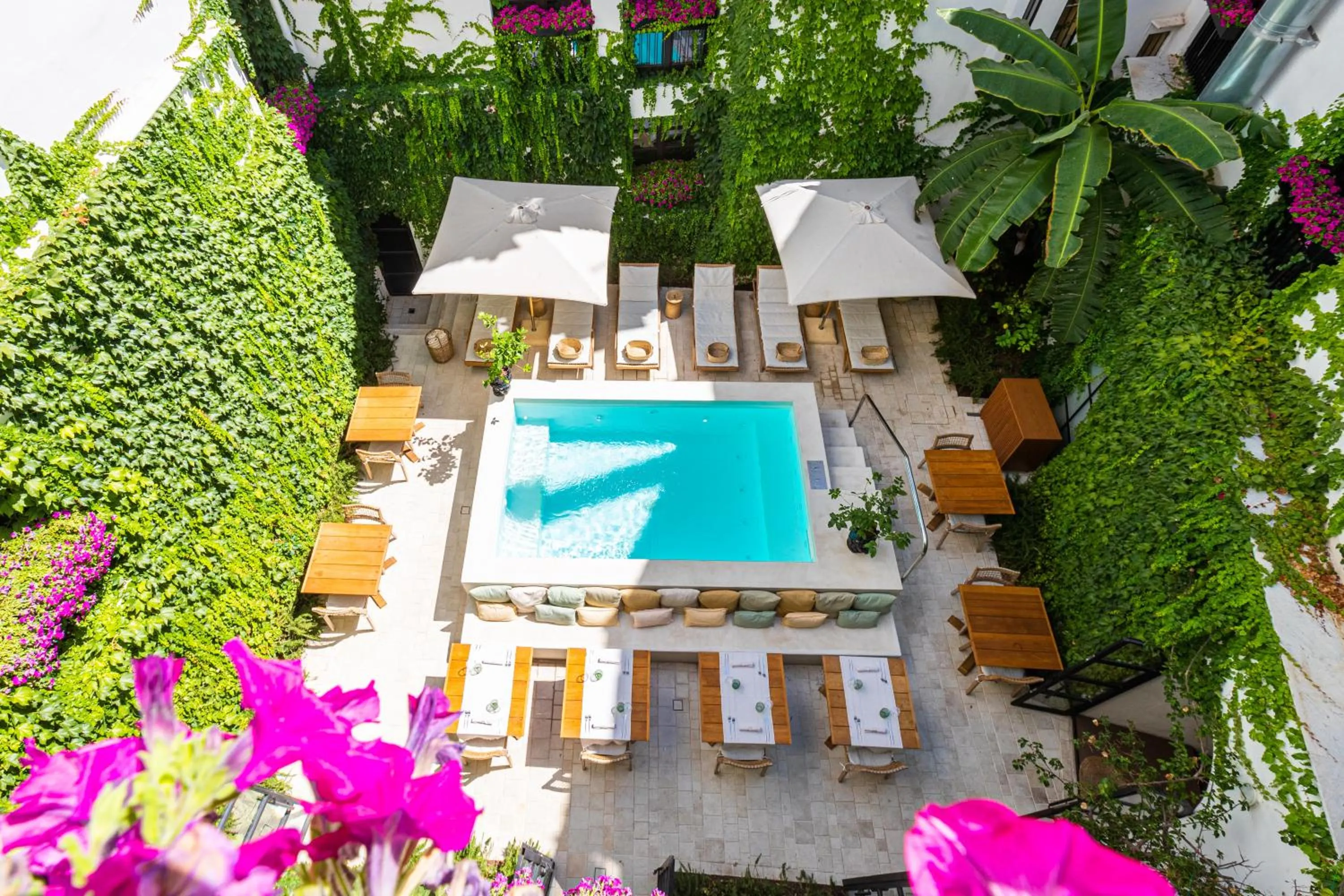 Garden in Casa Nostra Luxury Suites & Spa