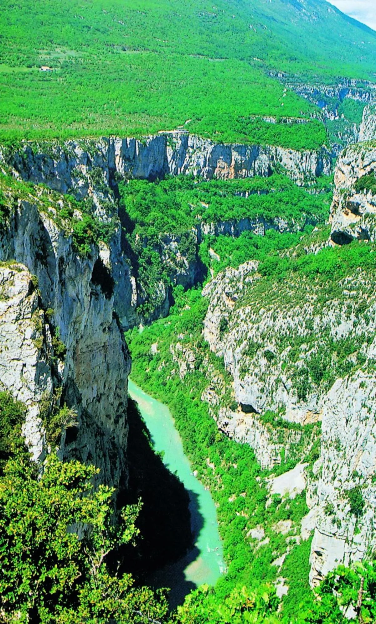 Area and facilities in Hôtel Lou Paouvadou