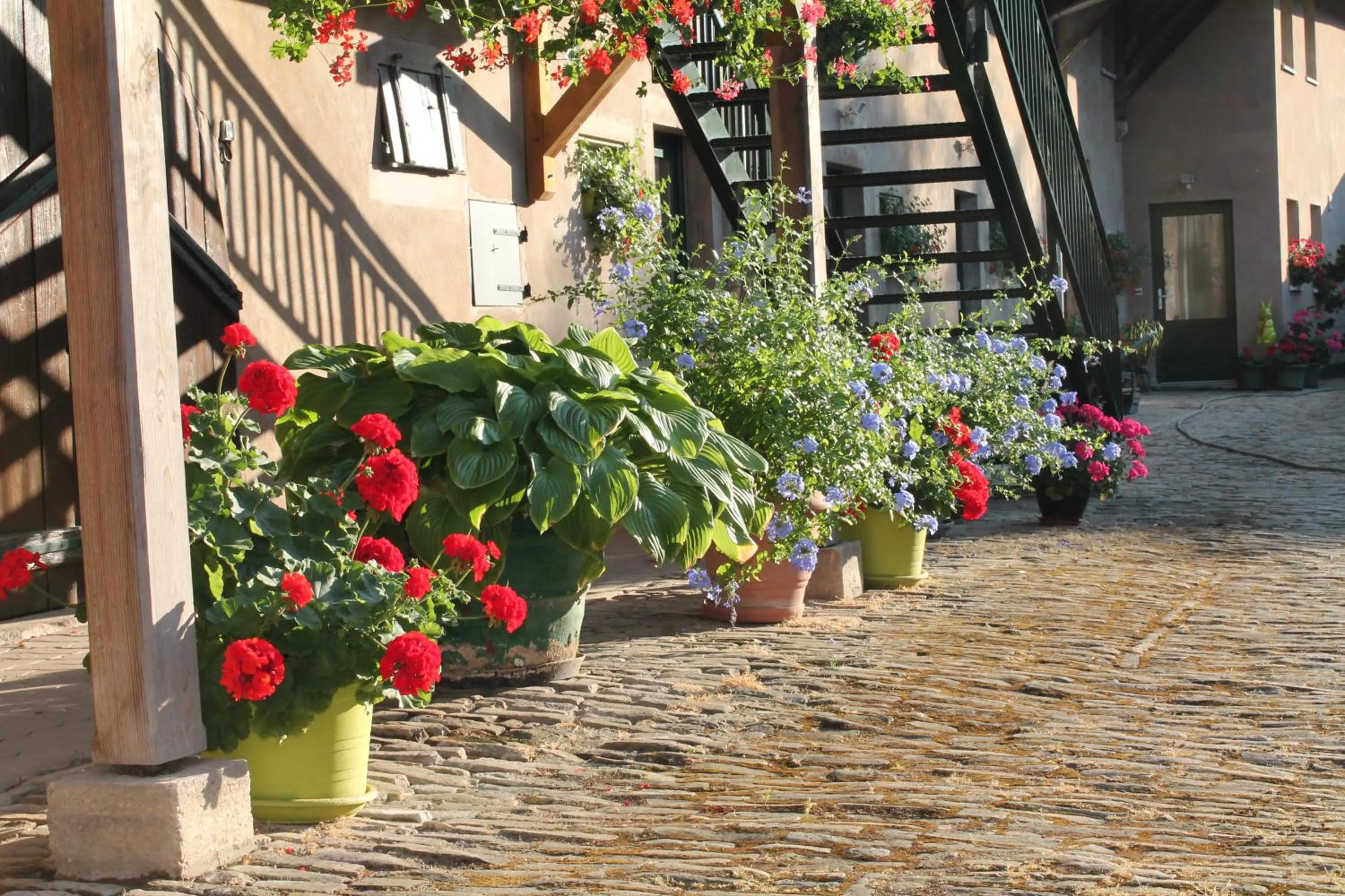 View (from property/room) in La chambre aux hirondelles