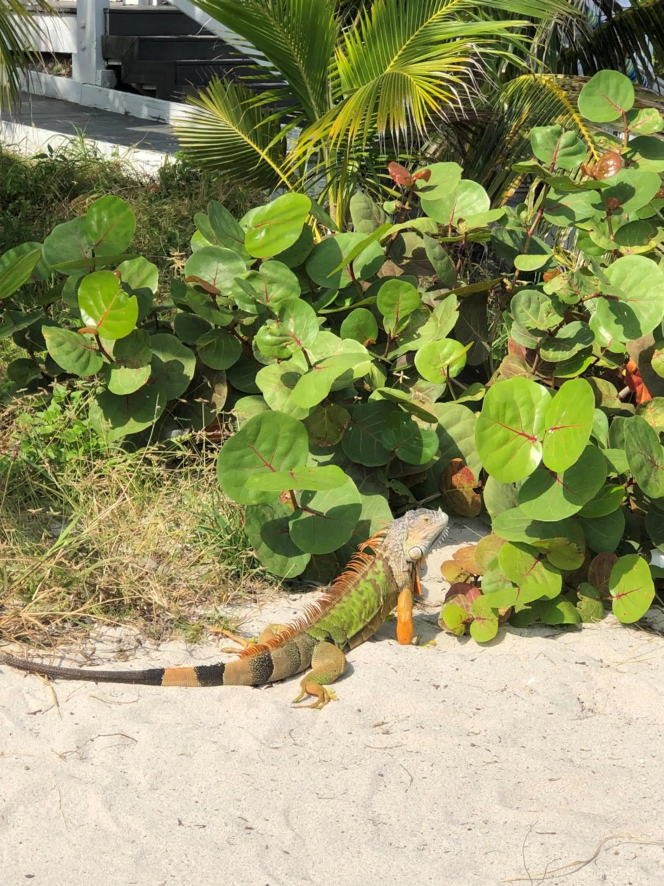 Neighbourhood in Beach Tide Motel