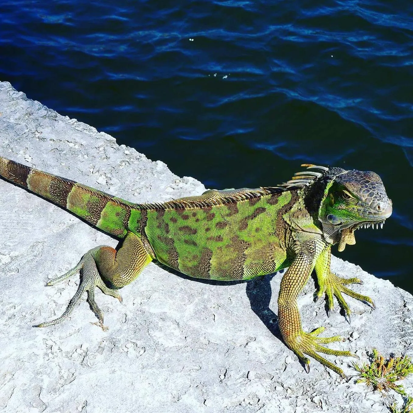 Neighbourhood in Beach Tide Motel