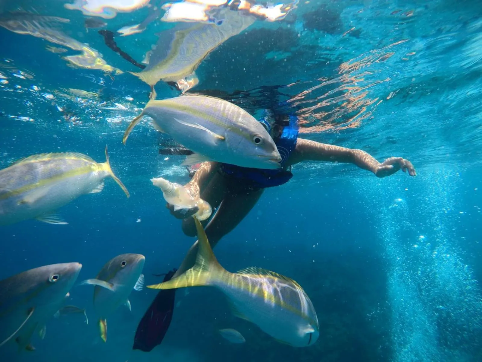 Natural landscape in Beach Tide Motel