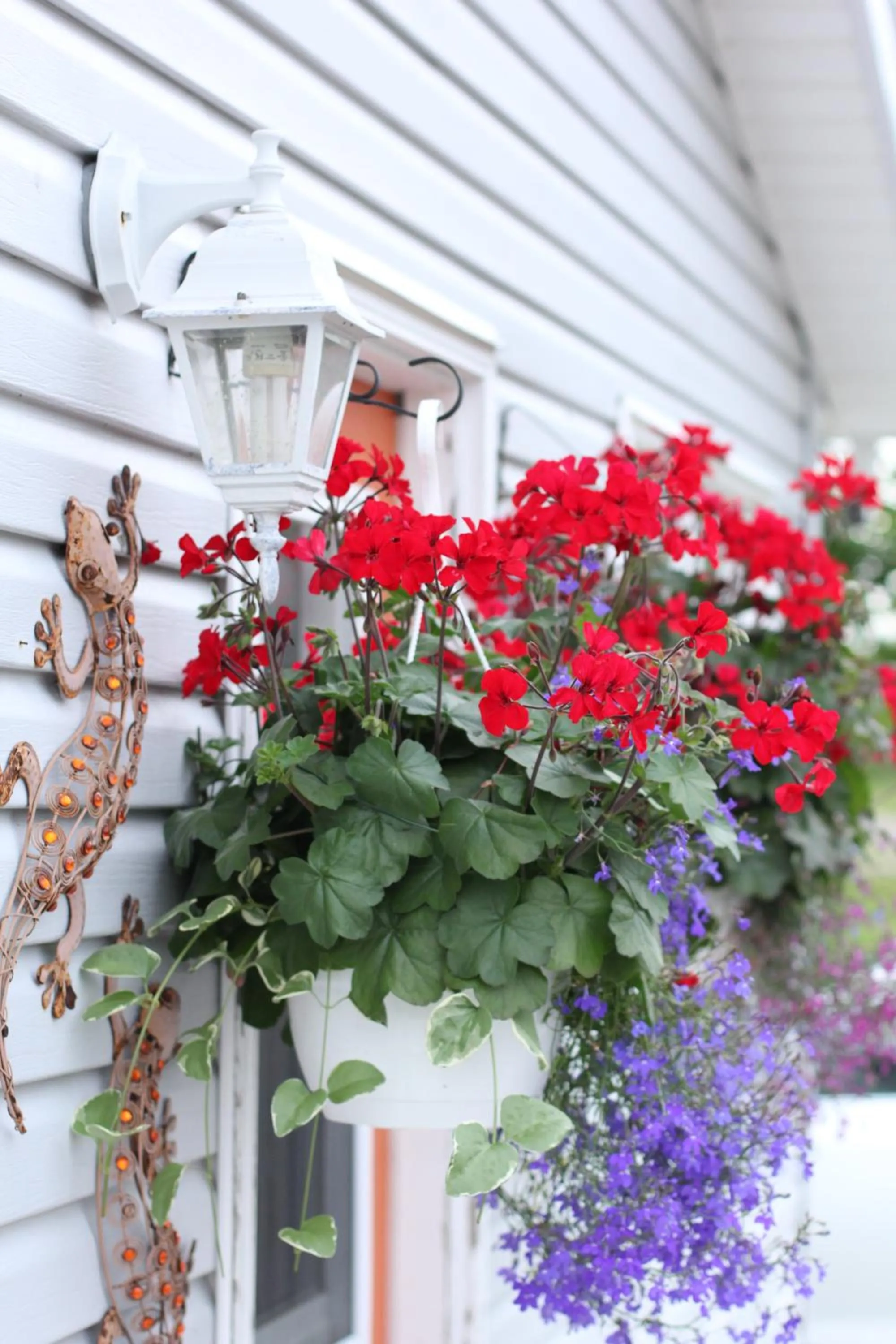 Facade/entrance in Hidden Acres Cottages