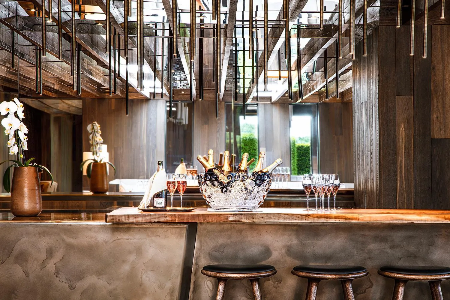 Lounge or bar in Jiva Hill Resort - Genève