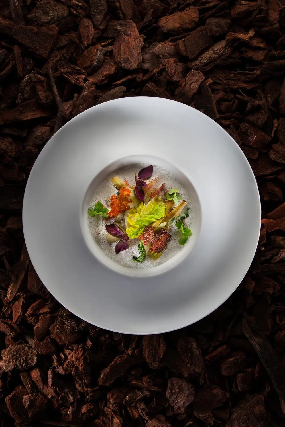 Restaurant/places to eat in Jiva Hill Resort - Genève