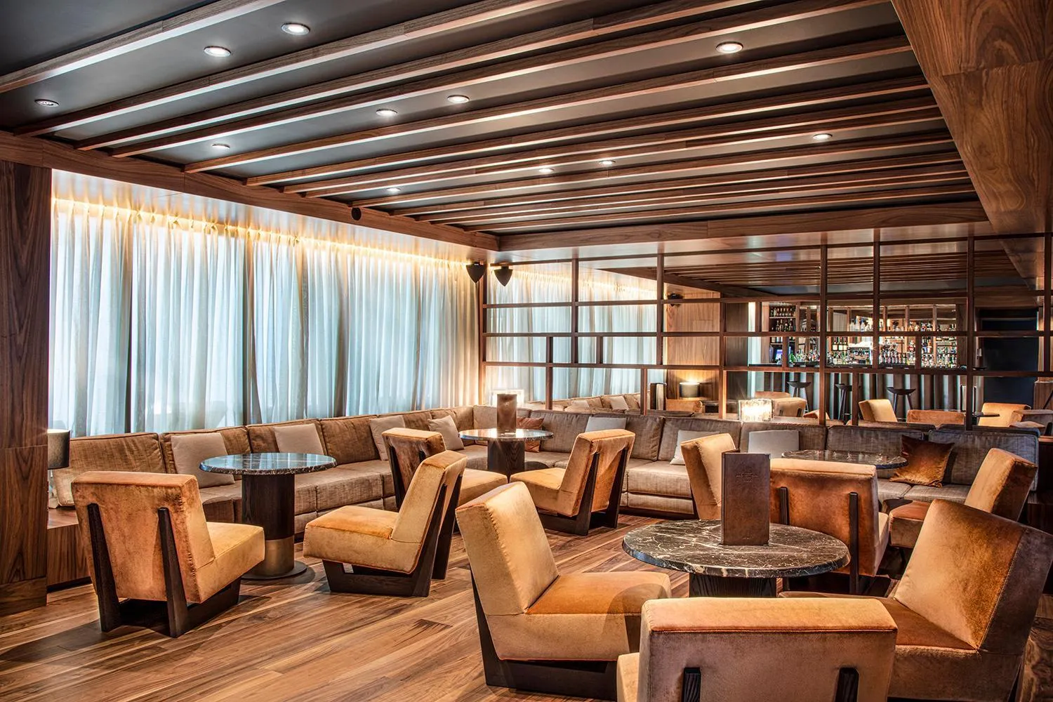 Lounge or bar in Jiva Hill Resort - Genève