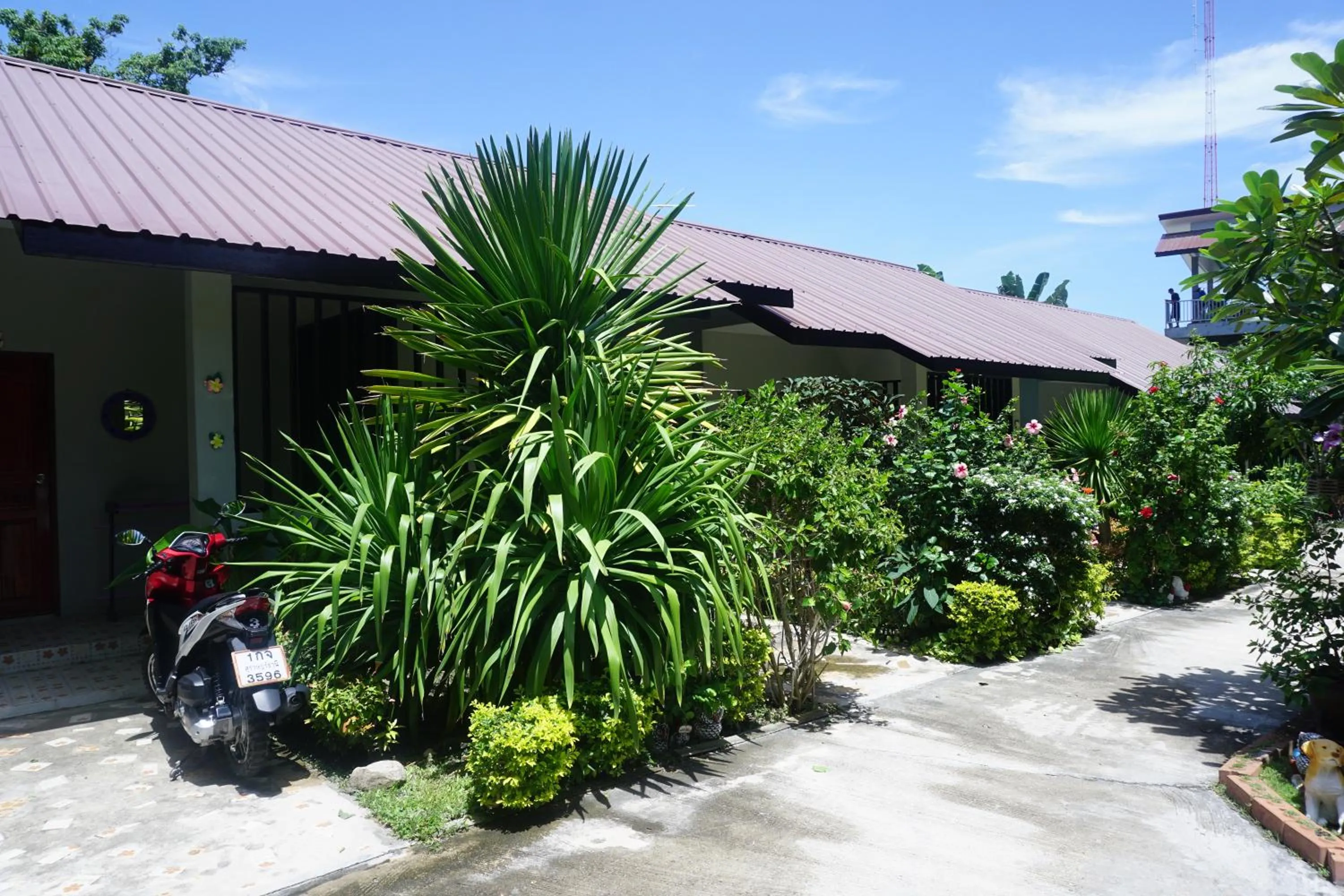 Garden in Nadapa Resort