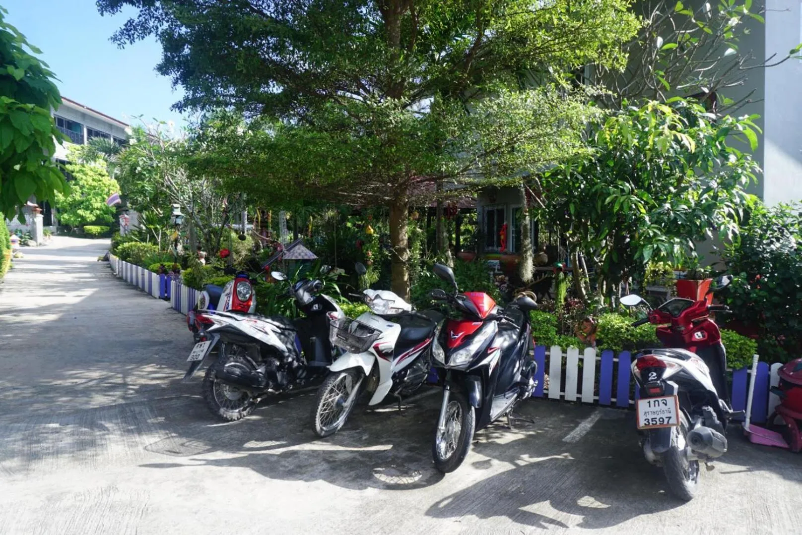 Cycling in Nadapa Resort