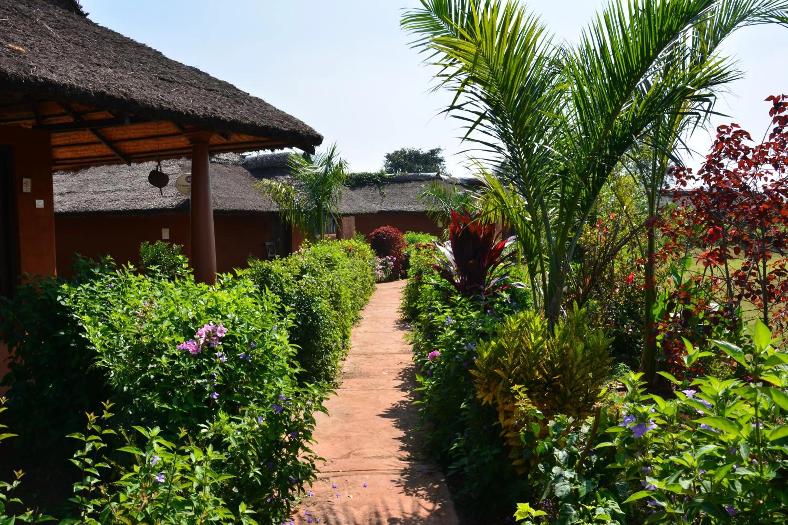 Garden in Red Earth Kabini