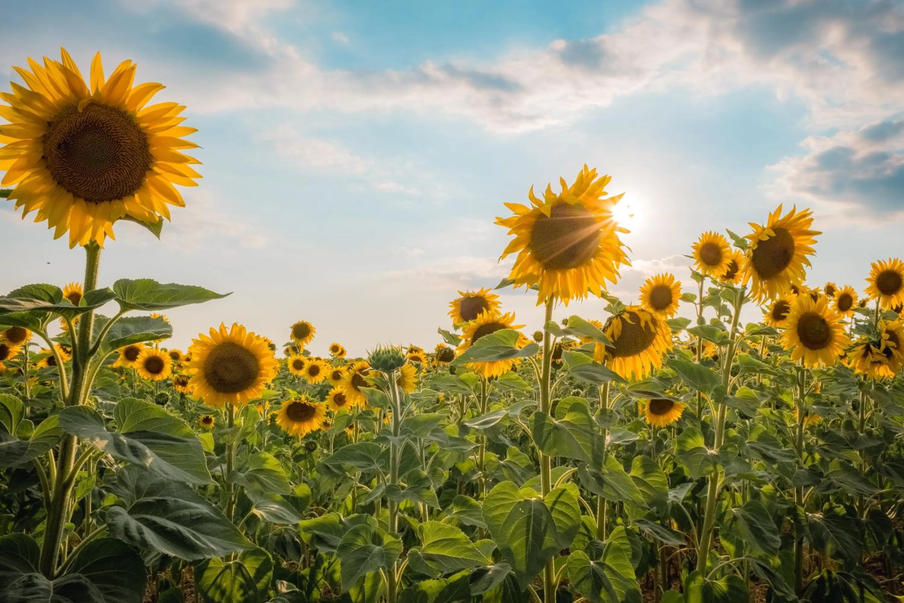 Relais et Chateaux La Bonne Étape