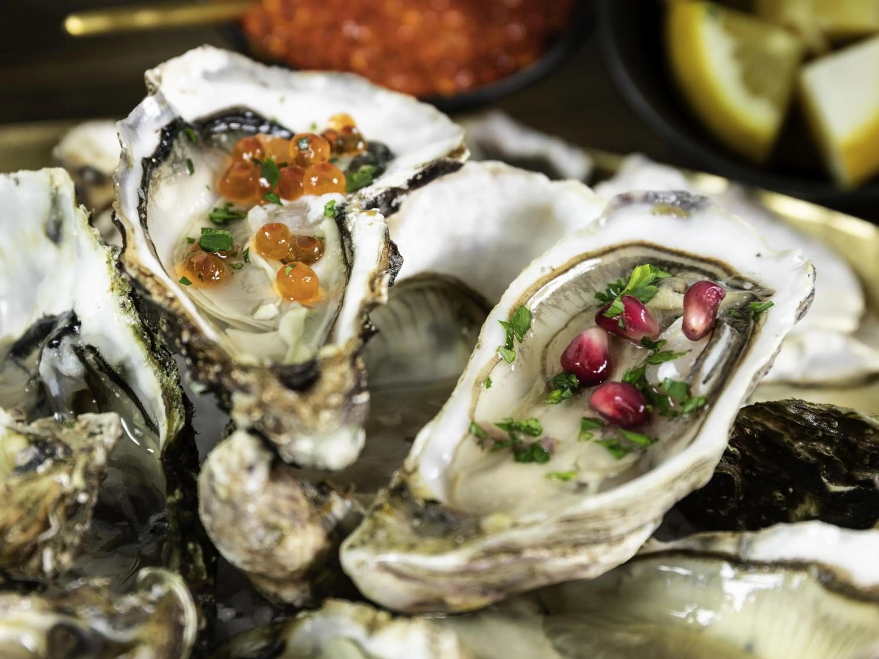 Restaurant/places to eat in ibis Sète Balaruc les Bains Bien-être et Spa