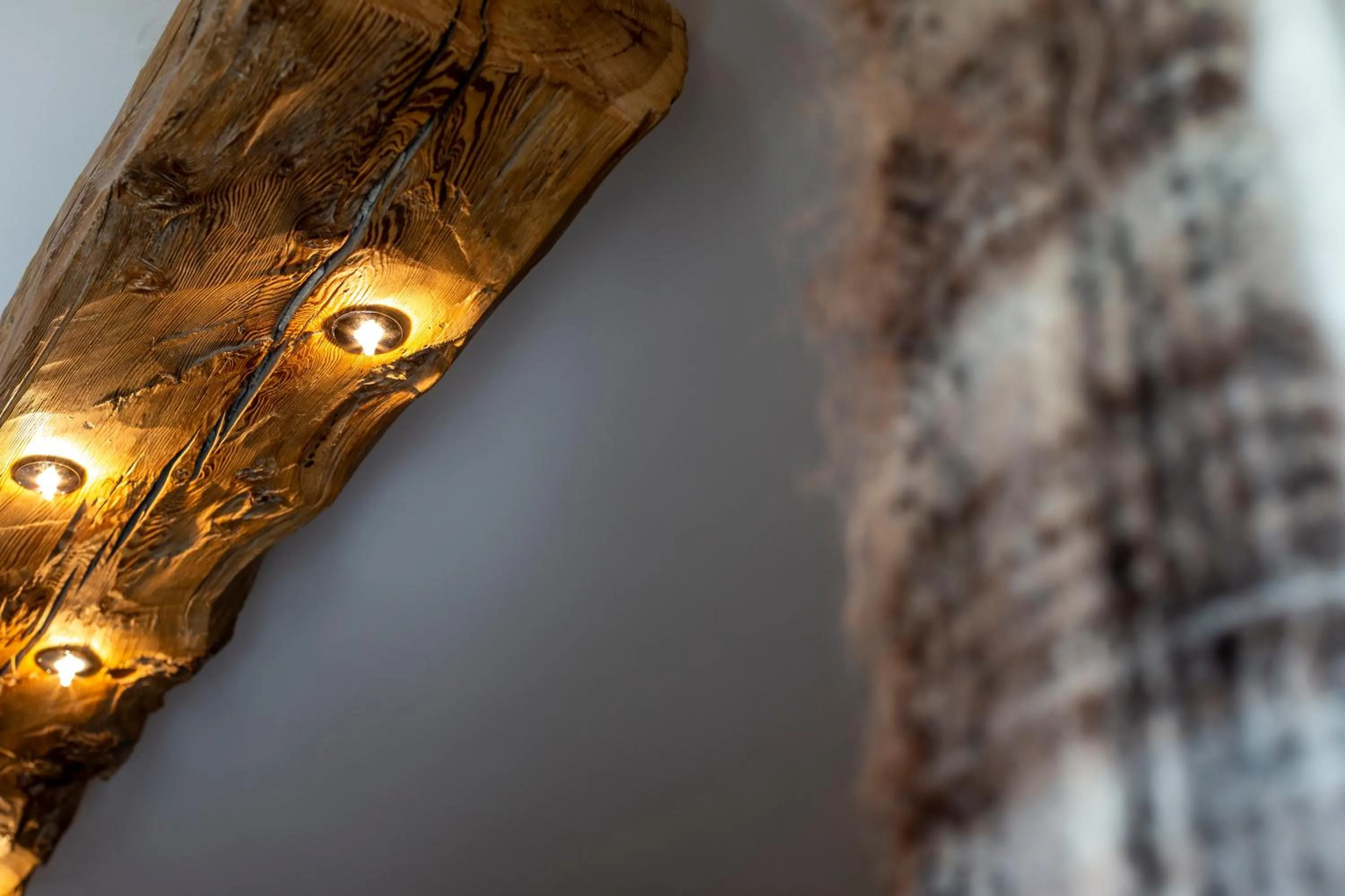 Chalet Hotel Du Fornet