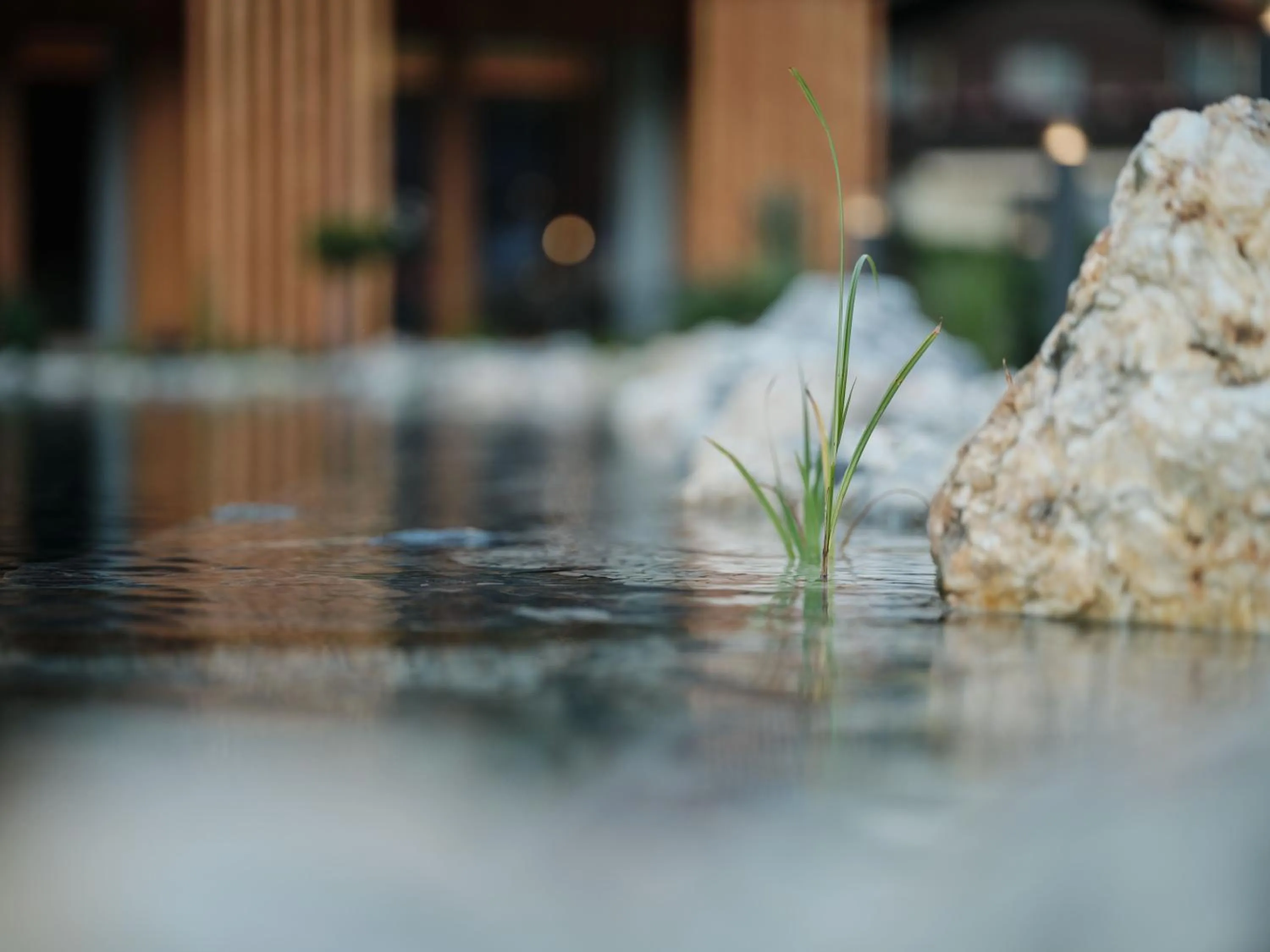 Garden in Wellness und Brunch Hotel MorgenZeit beheizter Naturteich Genuss Frühstück bis 13 Uhr Hochkönig Sommercard