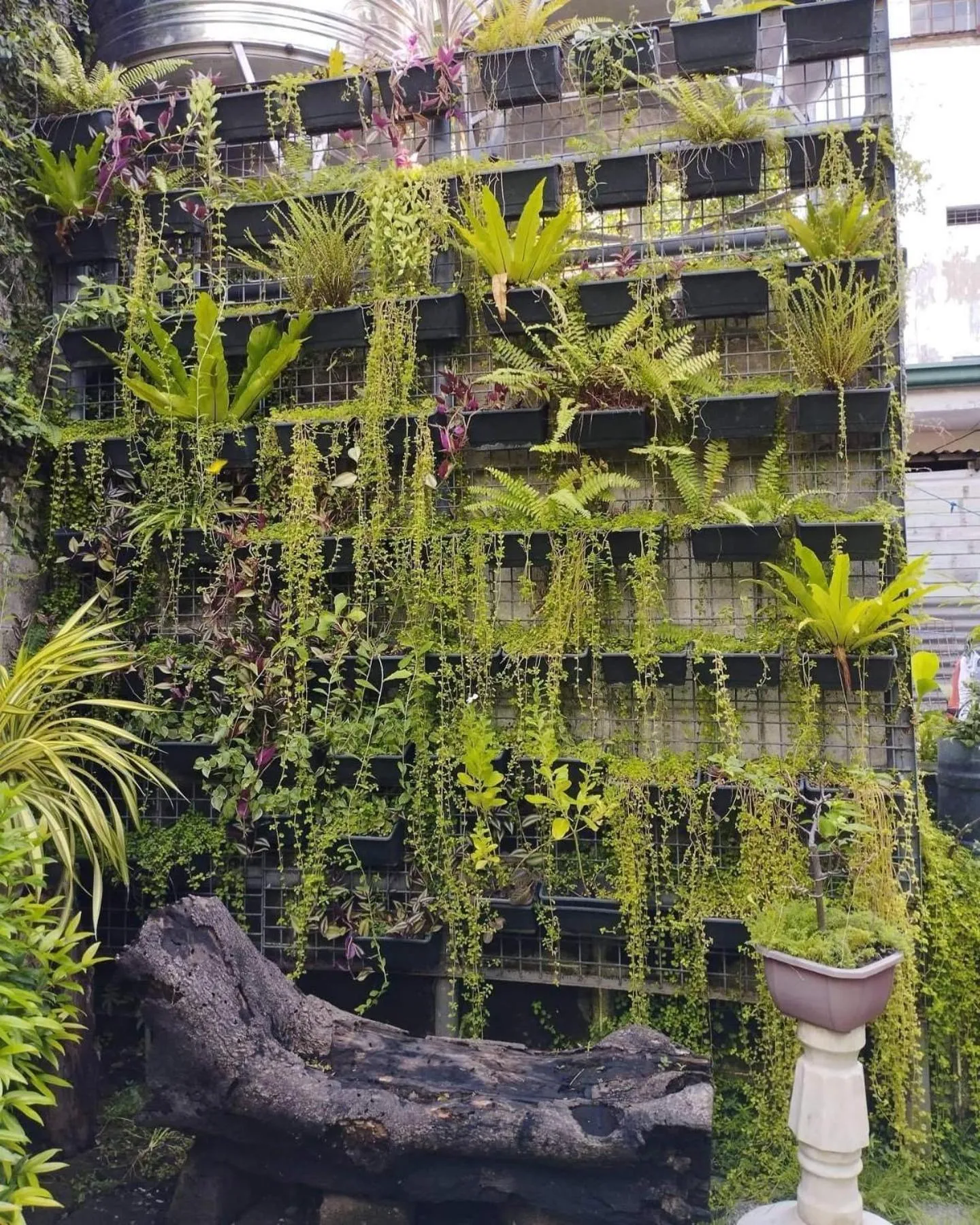 The Hub District Garden Suites