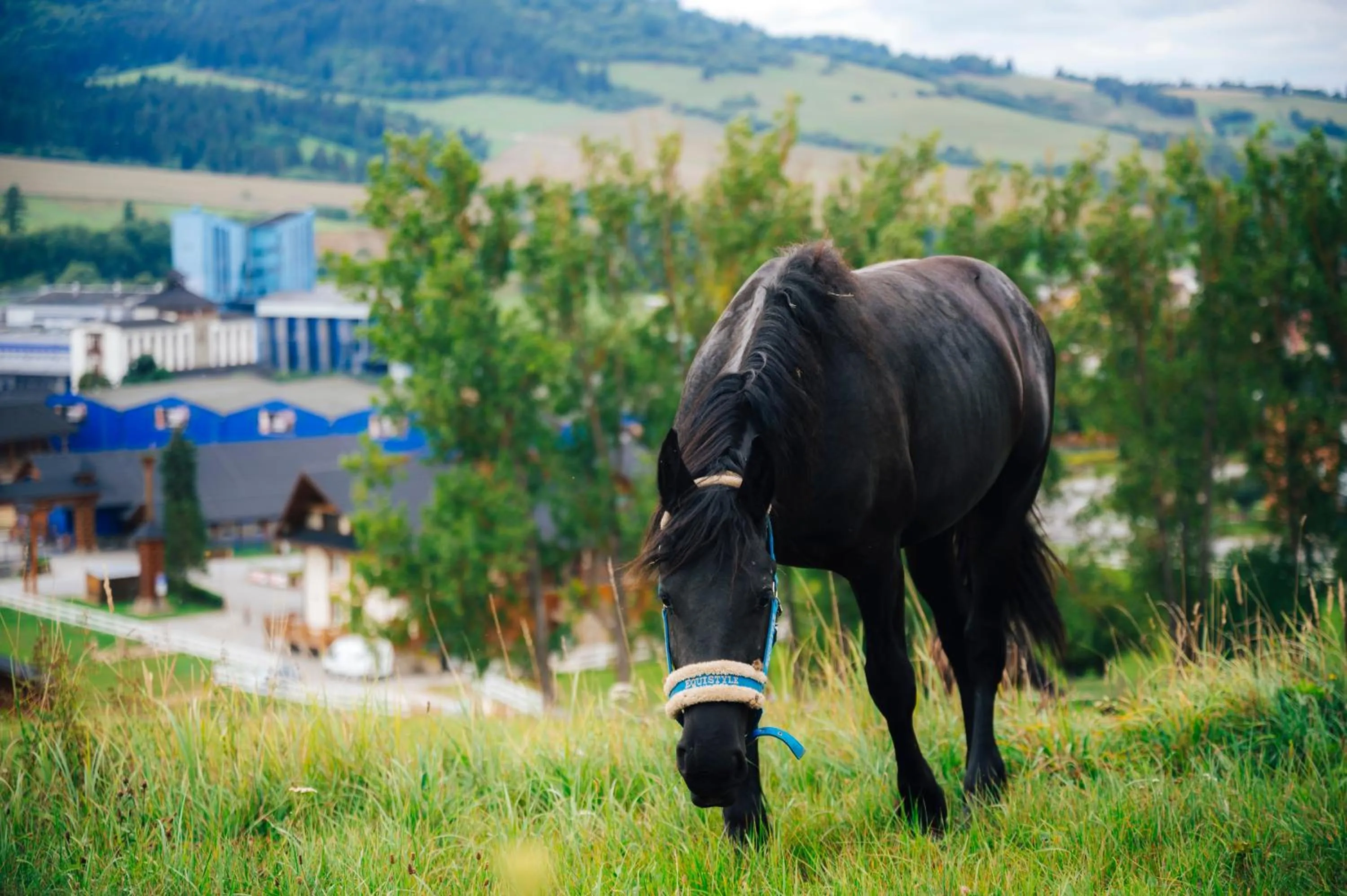 Neighbourhood in Nestville Apartments