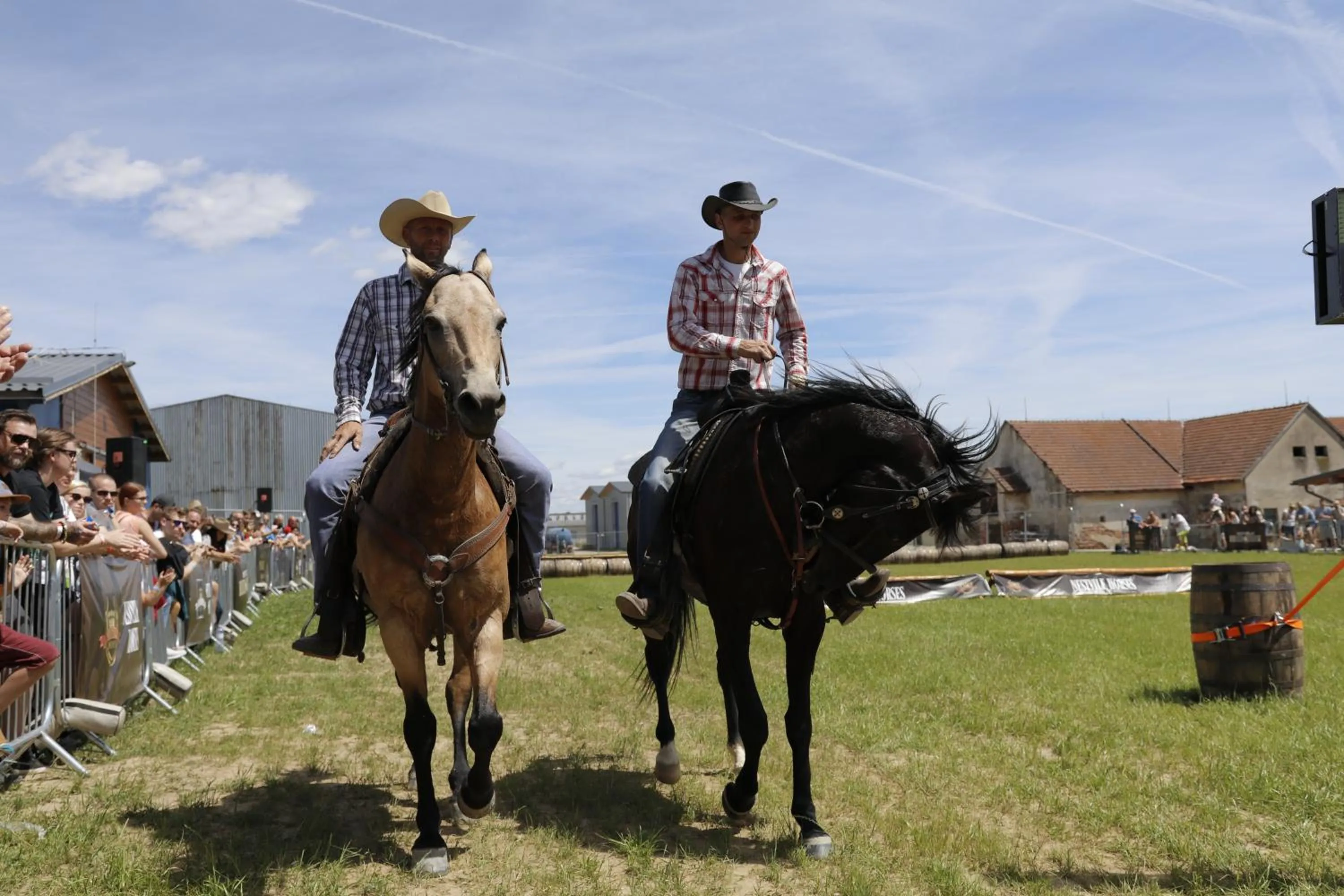 People in Nestville Apartments
